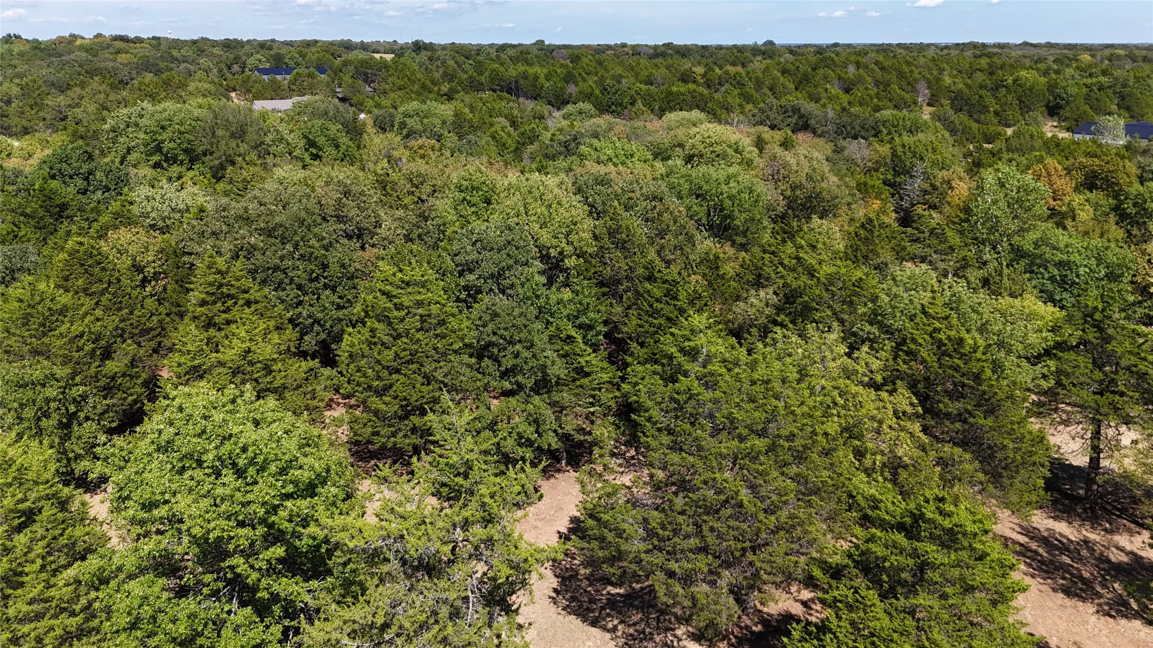 Unimproved Land For Sale in Grayson County , 1648 Gordonville Road, Gordonville, Texas 76245, 0, 0, Garage spaces, 0 Sqft, built in 0, Price $170,000, mls#21098287, Real Estate Agent in Gordonville, Homes For Sale in Grayson county, Homes For Sale in Gordonville, Realtor in Gordonville Texas, Real Estate Brokerage Independent Realty Texas, Luminita Cordes Realtor