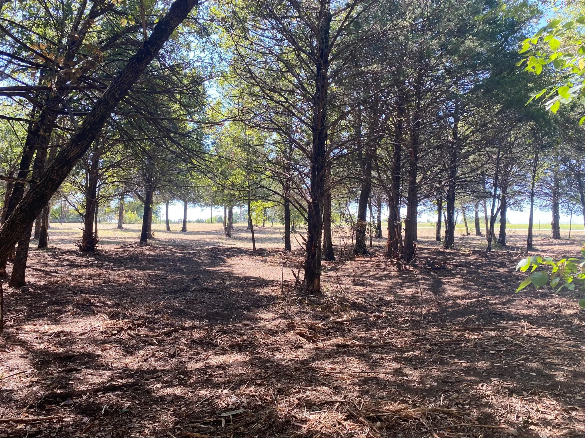 Unimproved Land For Sale in Grayson County , 1648 Gordonville Road, Gordonville, Texas 76245, 0, 0, Garage spaces, 0 Sqft, built in 0, Price $170,000, mls#21098287, Real Estate Agent in Gordonville, Homes For Sale in Grayson county, Homes For Sale in Gordonville, Realtor in Gordonville Texas, Real Estate Brokerage Independent Realty Texas, Luminita Cordes Realtor