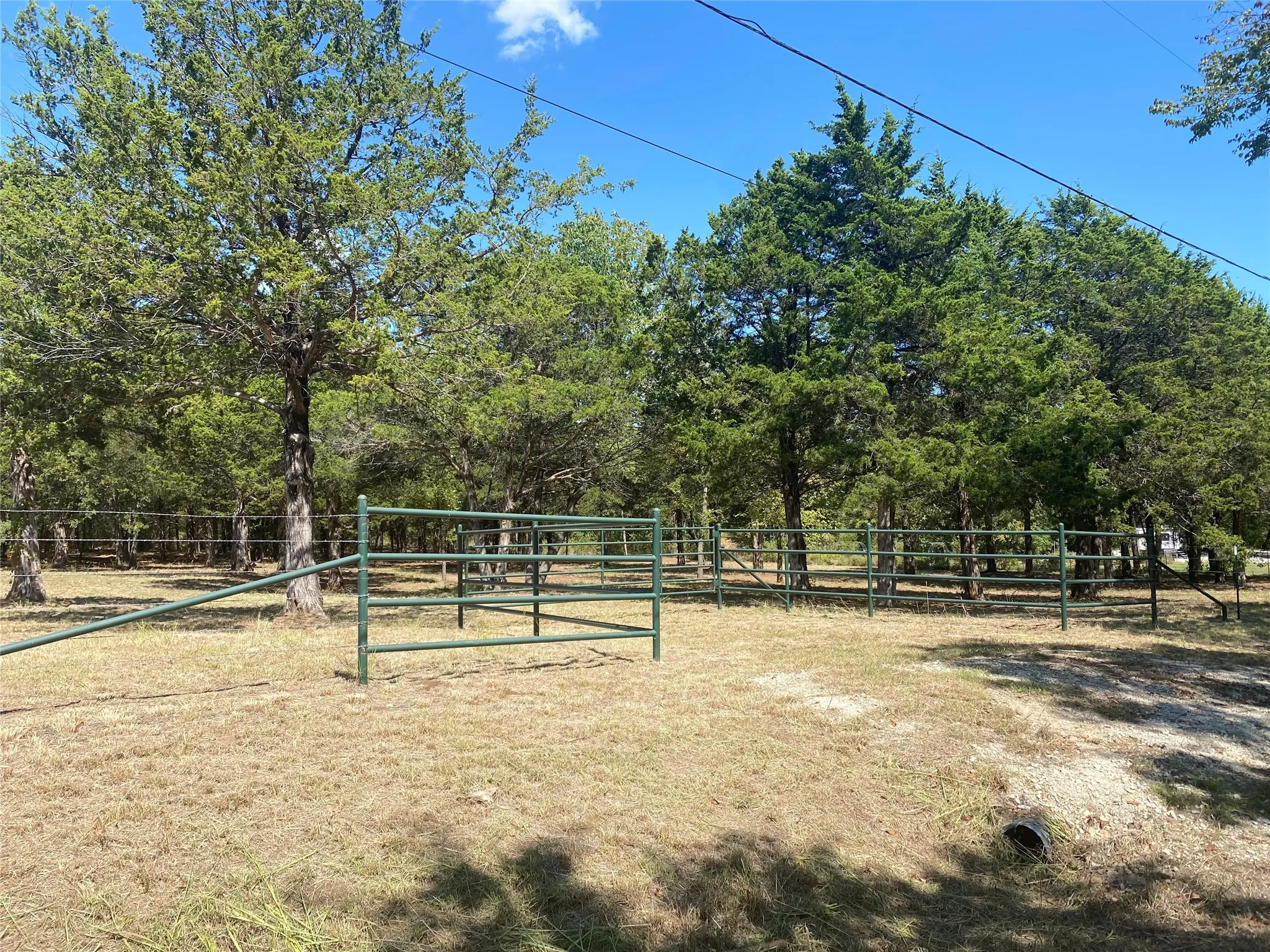 Unimproved Land For Sale in Grayson County , 1648 Gordonville Road, Gordonville, Texas 76245, 0, 0, Garage spaces, 0 Sqft, built in 0, Price $170,000, mls#21098287, Real Estate Agent in Gordonville, Homes For Sale in Grayson county, Homes For Sale in Gordonville, Realtor in Gordonville Texas, Real Estate Brokerage Independent Realty Texas, Luminita Cordes Realtor