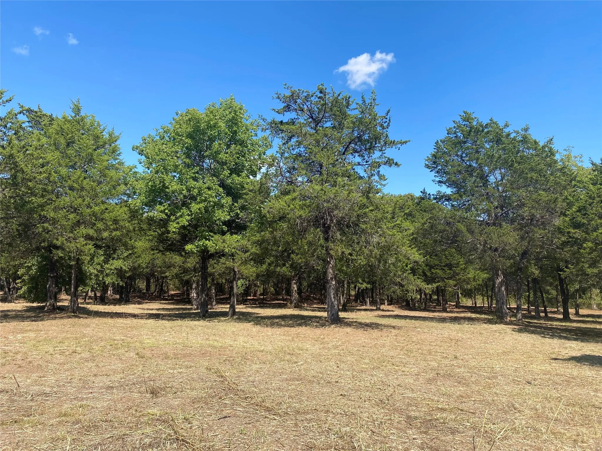 Unimproved Land For Sale in Grayson County , 1648 Gordonville Road, Gordonville, Texas 76245, 0, 0, Garage spaces, 0 Sqft, built in 0, Price $170,000, mls#21098287, Real Estate Agent in Gordonville, Homes For Sale in Grayson county, Homes For Sale in Gordonville, Realtor in Gordonville Texas, Real Estate Brokerage Independent Realty Texas, Luminita Cordes Realtor