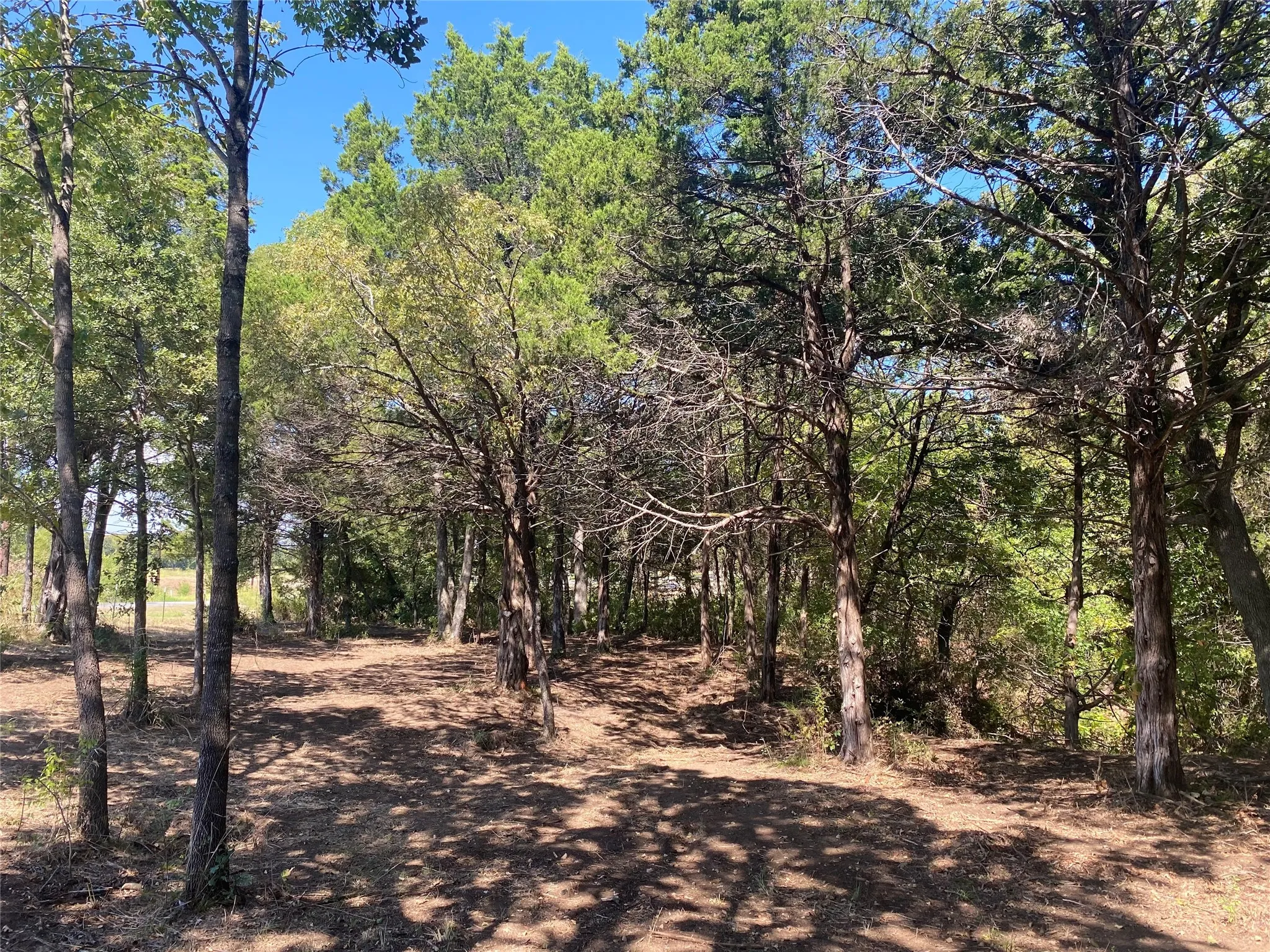 Unimproved Land For Sale in Grayson County , 1648 Gordonville Road, Gordonville, Texas 76245, 0, 0, Garage spaces, 0 Sqft, built in 0, Price $170,000, mls#21098287, Real Estate Agent in Gordonville, Homes For Sale in Grayson county, Homes For Sale in Gordonville, Realtor in Gordonville Texas, Real Estate Brokerage Independent Realty Texas, Luminita Cordes Realtor