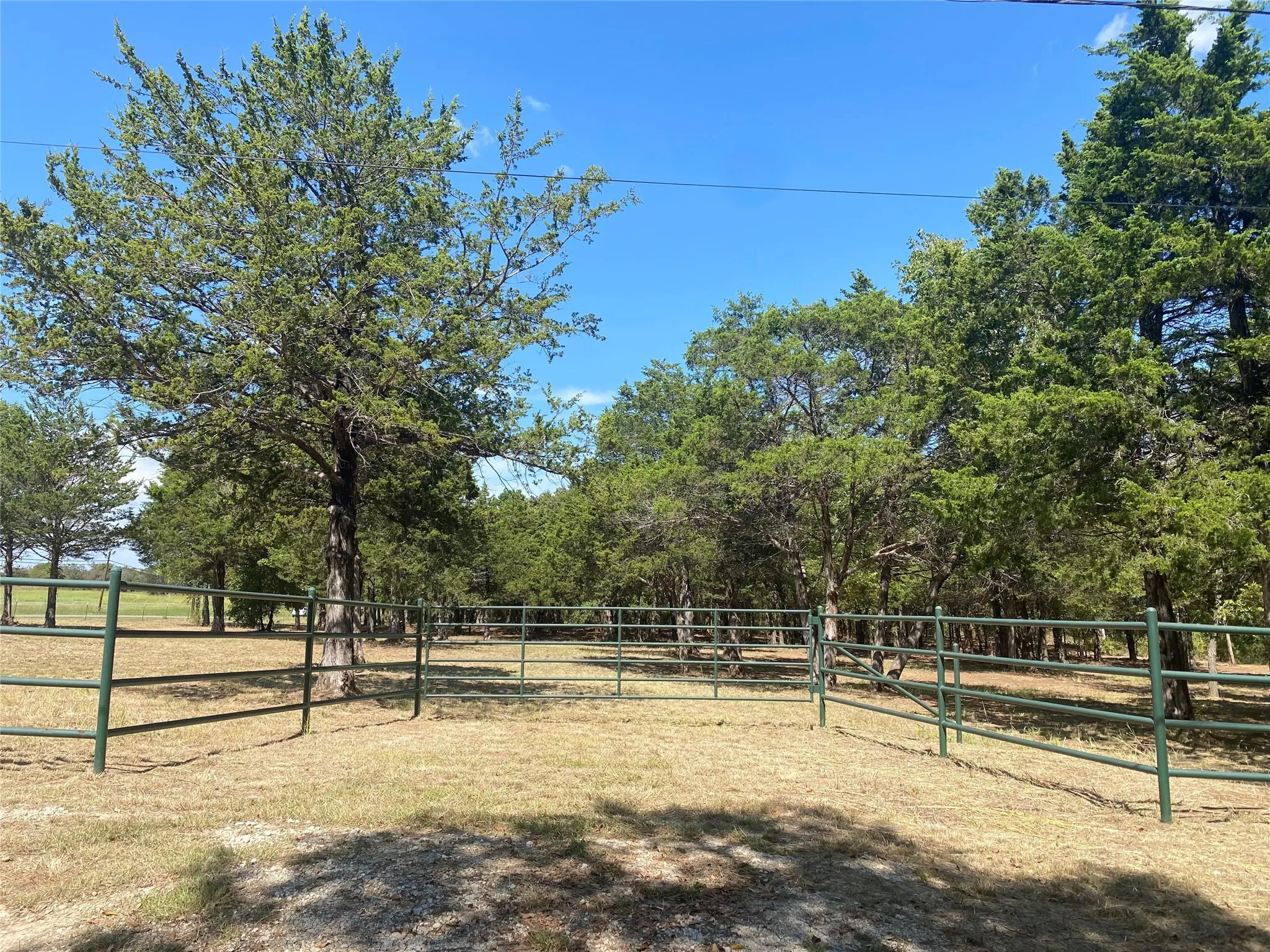Unimproved Land For Sale in Grayson County , 1648 Gordonville Road, Gordonville, Texas 76245, 0, 0, Garage spaces, 0 Sqft, built in 0, Price $170,000, mls#21098287, Real Estate Agent in Gordonville, Homes For Sale in Grayson county, Homes For Sale in Gordonville, Realtor in Gordonville Texas, Real Estate Brokerage Independent Realty Texas, Luminita Cordes Realtor