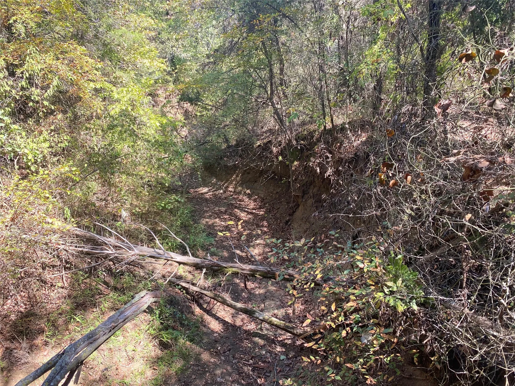 Unimproved Land For Sale in Grayson County , 1648 Gordonville Road, Gordonville, Texas 76245, 0, 0, Garage spaces, 0 Sqft, built in 0, Price $170,000, mls#21098287, Real Estate Agent in Gordonville, Homes For Sale in Grayson county, Homes For Sale in Gordonville, Realtor in Gordonville Texas, Real Estate Brokerage Independent Realty Texas, Luminita Cordes Realtor