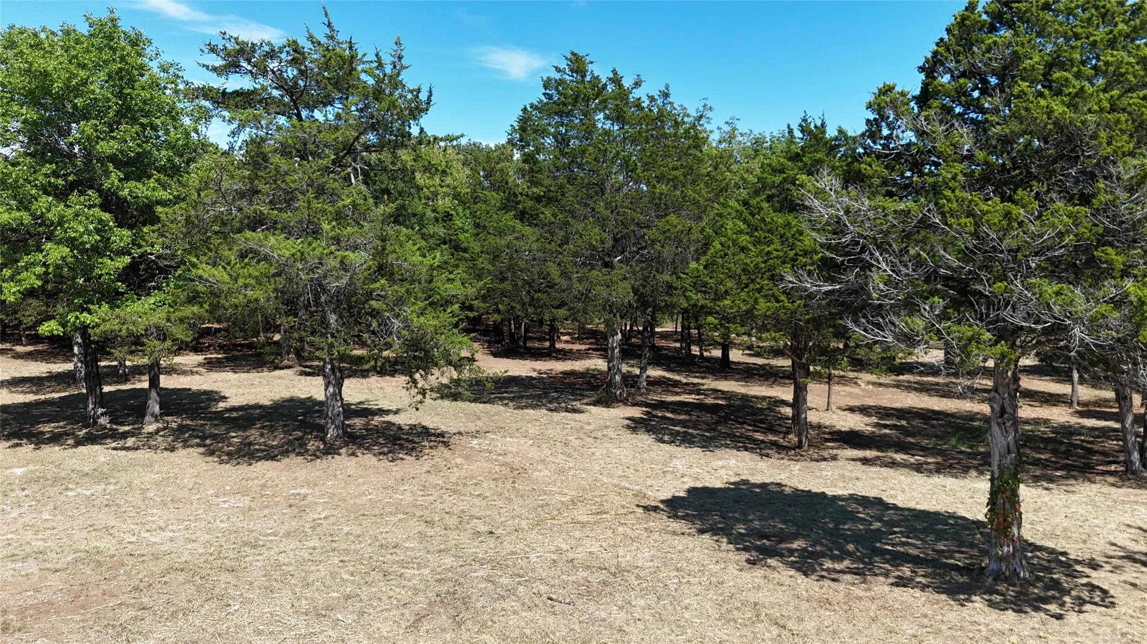Unimproved Land For Sale in Grayson County , 1648 Gordonville Road, Gordonville, Texas 76245, 0, 0, Garage spaces, 0 Sqft, built in 0, Price $170,000, mls#21098287, Real Estate Agent in Gordonville, Homes For Sale in Grayson county, Homes For Sale in Gordonville, Realtor in Gordonville Texas, Real Estate Brokerage Independent Realty Texas, Luminita Cordes Realtor