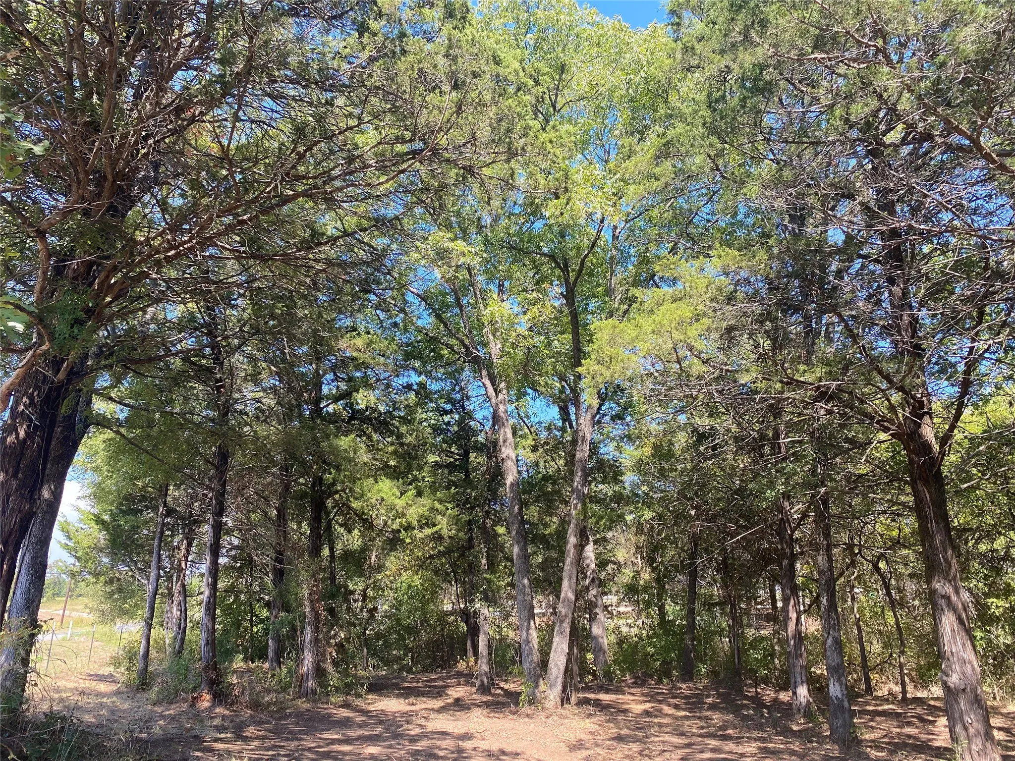 Unimproved Land For Sale in Grayson County , 1648 Gordonville Road, Gordonville, Texas 76245, 0, 0, Garage spaces, 0 Sqft, built in 0, Price $170,000, mls#21098287, Real Estate Agent in Gordonville, Homes For Sale in Grayson county, Homes For Sale in Gordonville, Realtor in Gordonville Texas, Real Estate Brokerage Independent Realty Texas, Luminita Cordes Realtor