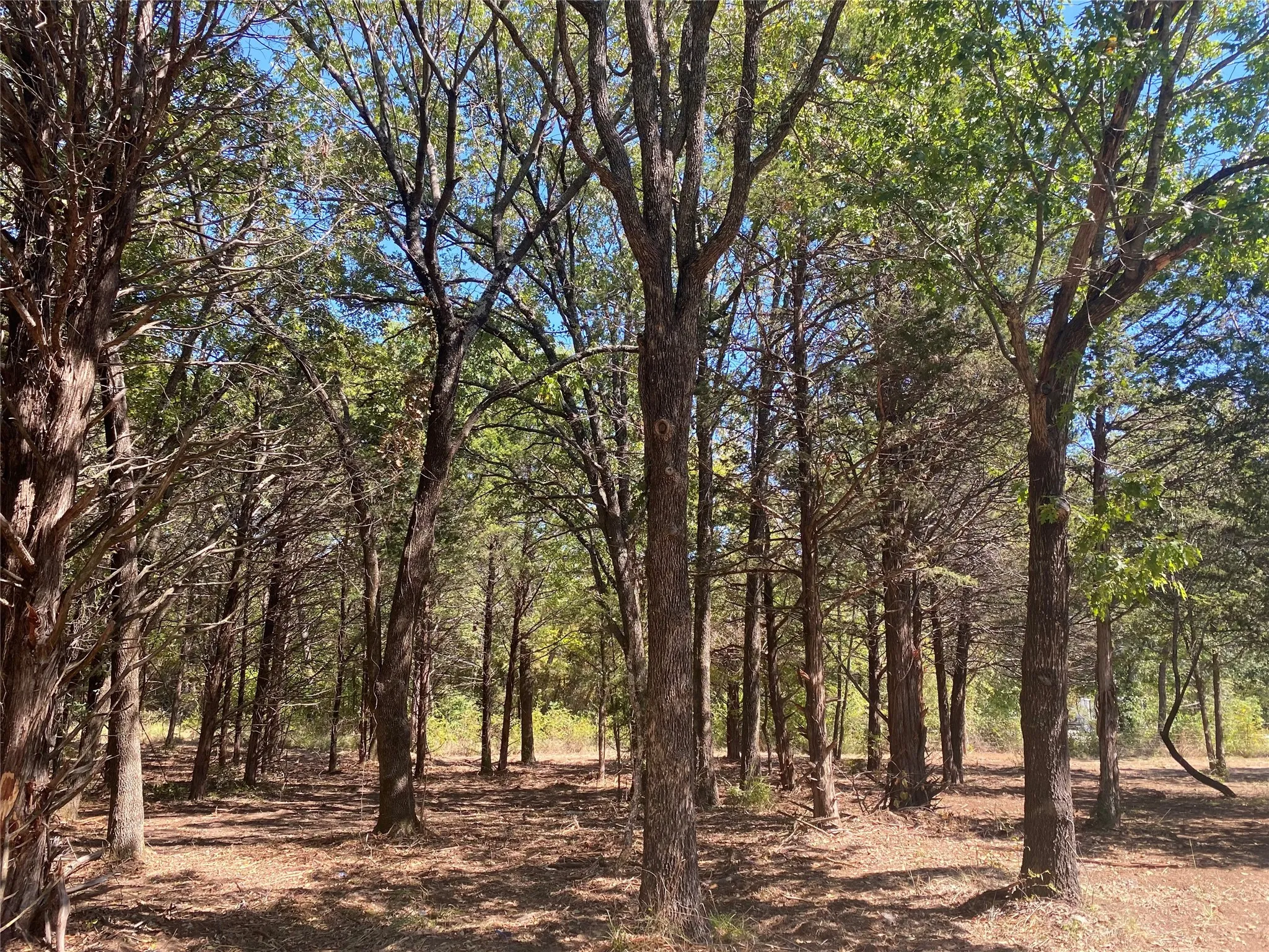 Unimproved Land For Sale in Grayson County , 1648 Gordonville Road, Gordonville, Texas 76245, 0, 0, Garage spaces, 0 Sqft, built in 0, Price $170,000, mls#21098287, Real Estate Agent in Gordonville, Homes For Sale in Grayson county, Homes For Sale in Gordonville, Realtor in Gordonville Texas, Real Estate Brokerage Independent Realty Texas, Luminita Cordes Realtor