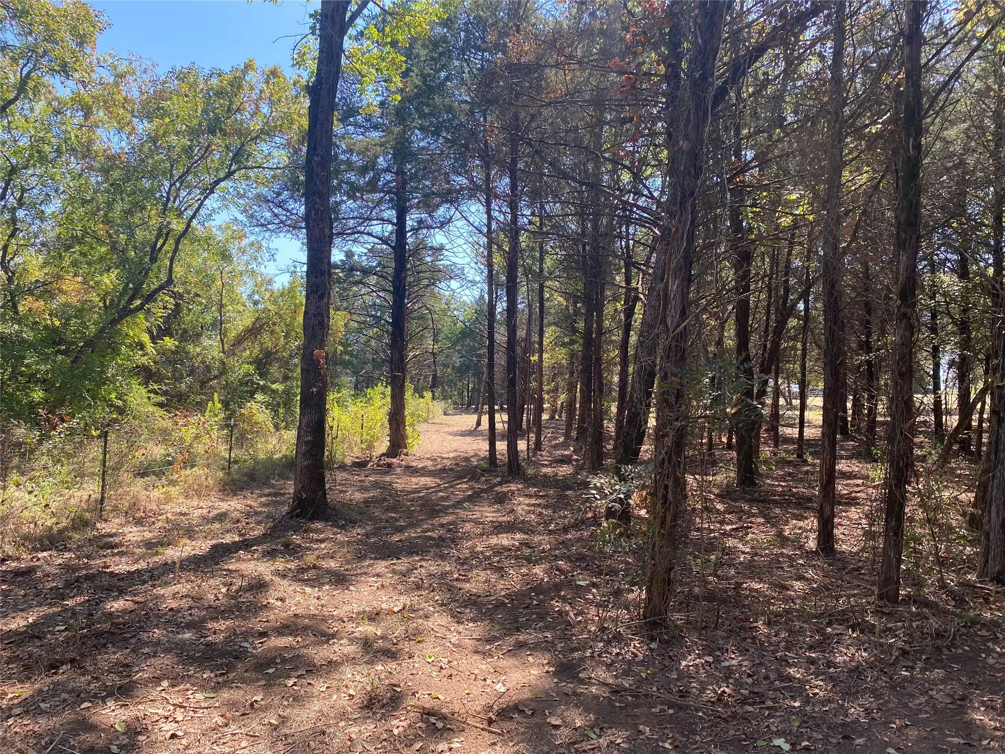 Unimproved Land For Sale in Grayson County , 1648 Gordonville Road, Gordonville, Texas 76245, 0, 0, Garage spaces, 0 Sqft, built in 0, Price $170,000, mls#21098287, Real Estate Agent in Gordonville, Homes For Sale in Grayson county, Homes For Sale in Gordonville, Realtor in Gordonville Texas, Real Estate Brokerage Independent Realty Texas, Luminita Cordes Realtor