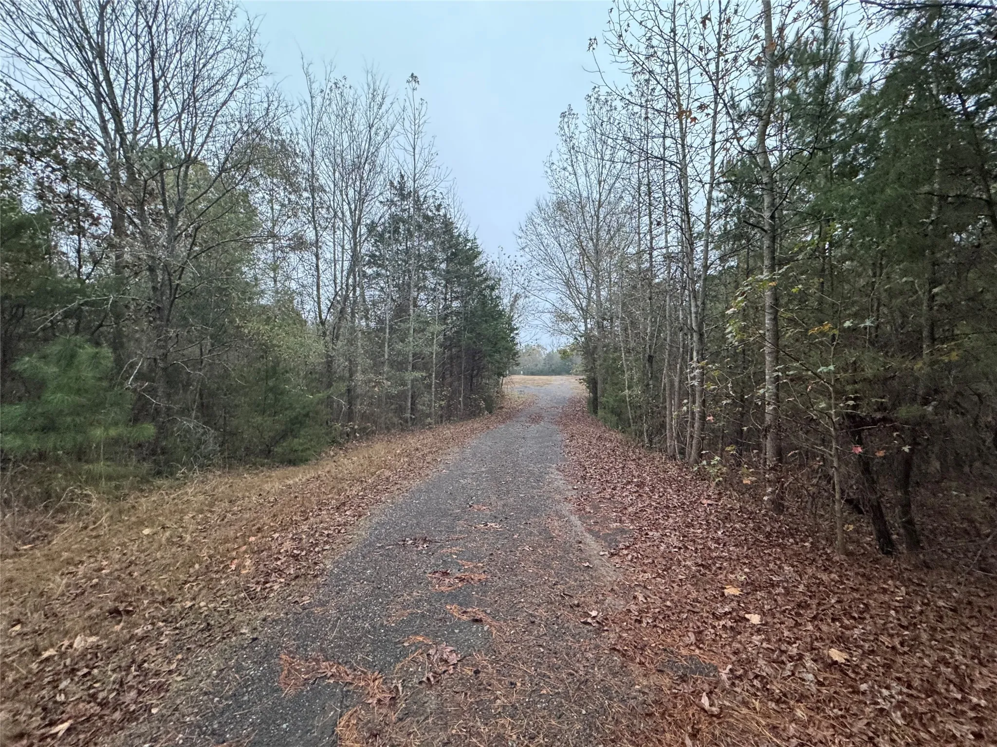 Unimproved Land For Sale in Smith County , 6229 County Rd 21, Tyler, Texas 75707, 0, 0, Garage spaces, 0 Sqft, built in 0, mls#21126797, Real Estate Agent in Tyler, Homes For Sale in Smith county, Homes For Sale in Tyler, Realtor in Tyler Texas, Real Estate Brokerage Independent Realty Texas, Luminita Cordes Realtor