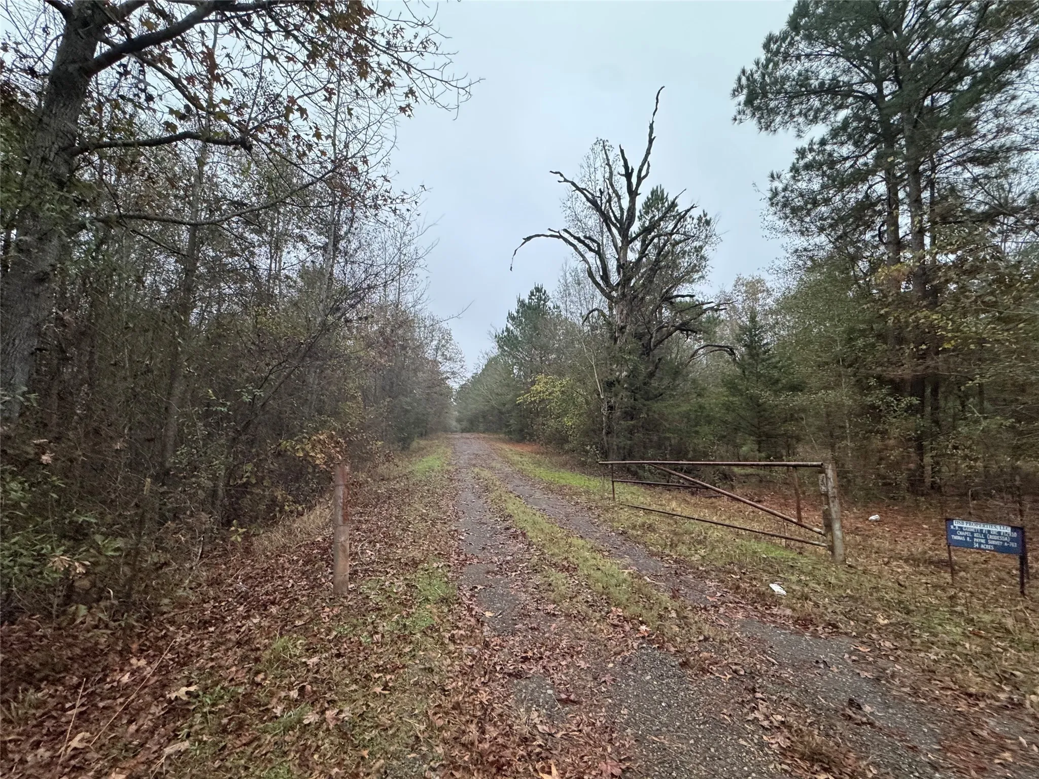 Unimproved Land For Sale in Smith County , 6229 County Rd 21, Tyler, Texas 75707, 0, 0, Garage spaces, 0 Sqft, built in 0, mls#21126797, Real Estate Agent in Tyler, Homes For Sale in Smith county, Homes For Sale in Tyler, Realtor in Tyler Texas, Real Estate Brokerage Independent Realty Texas, Luminita Cordes Realtor