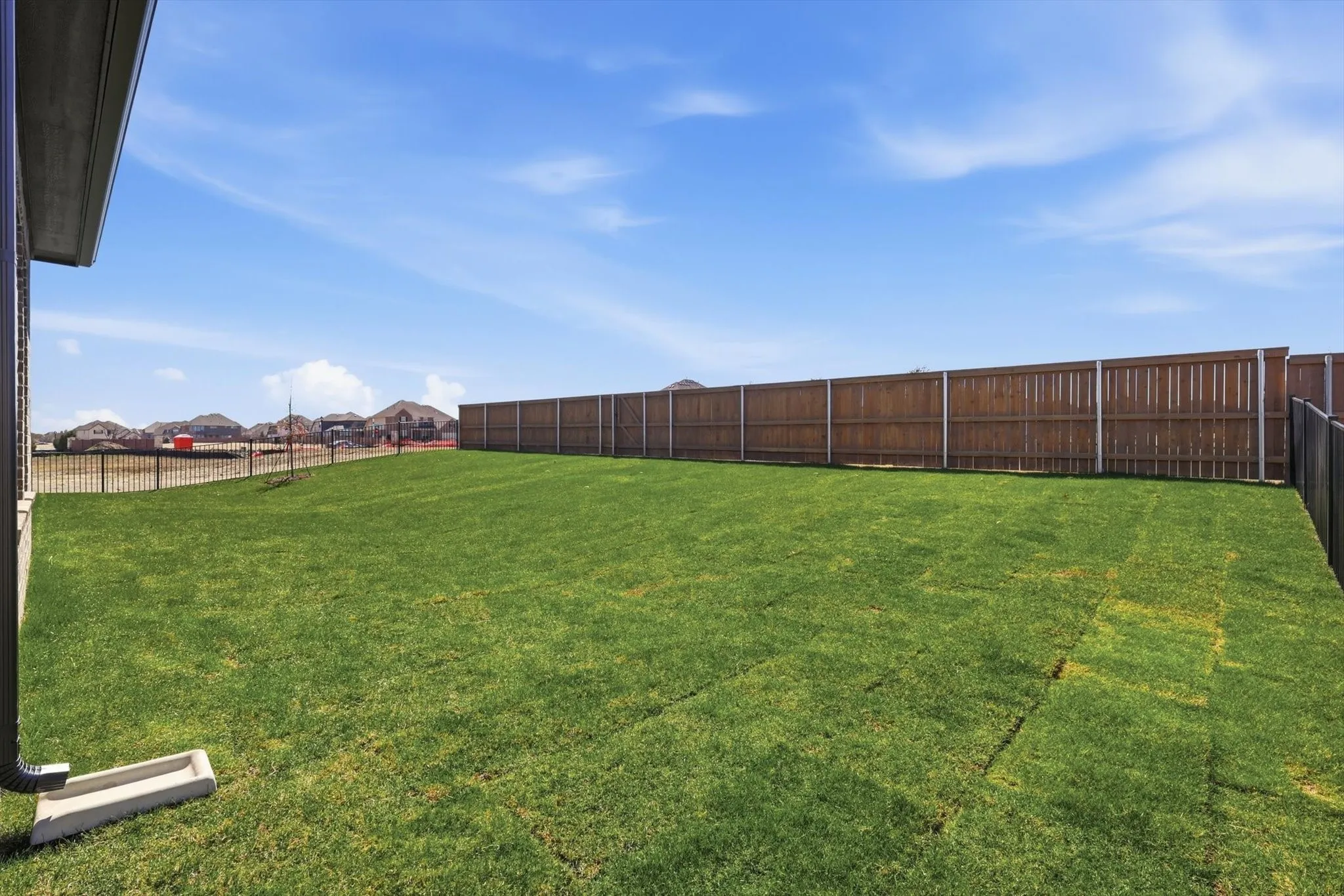 Large backyard