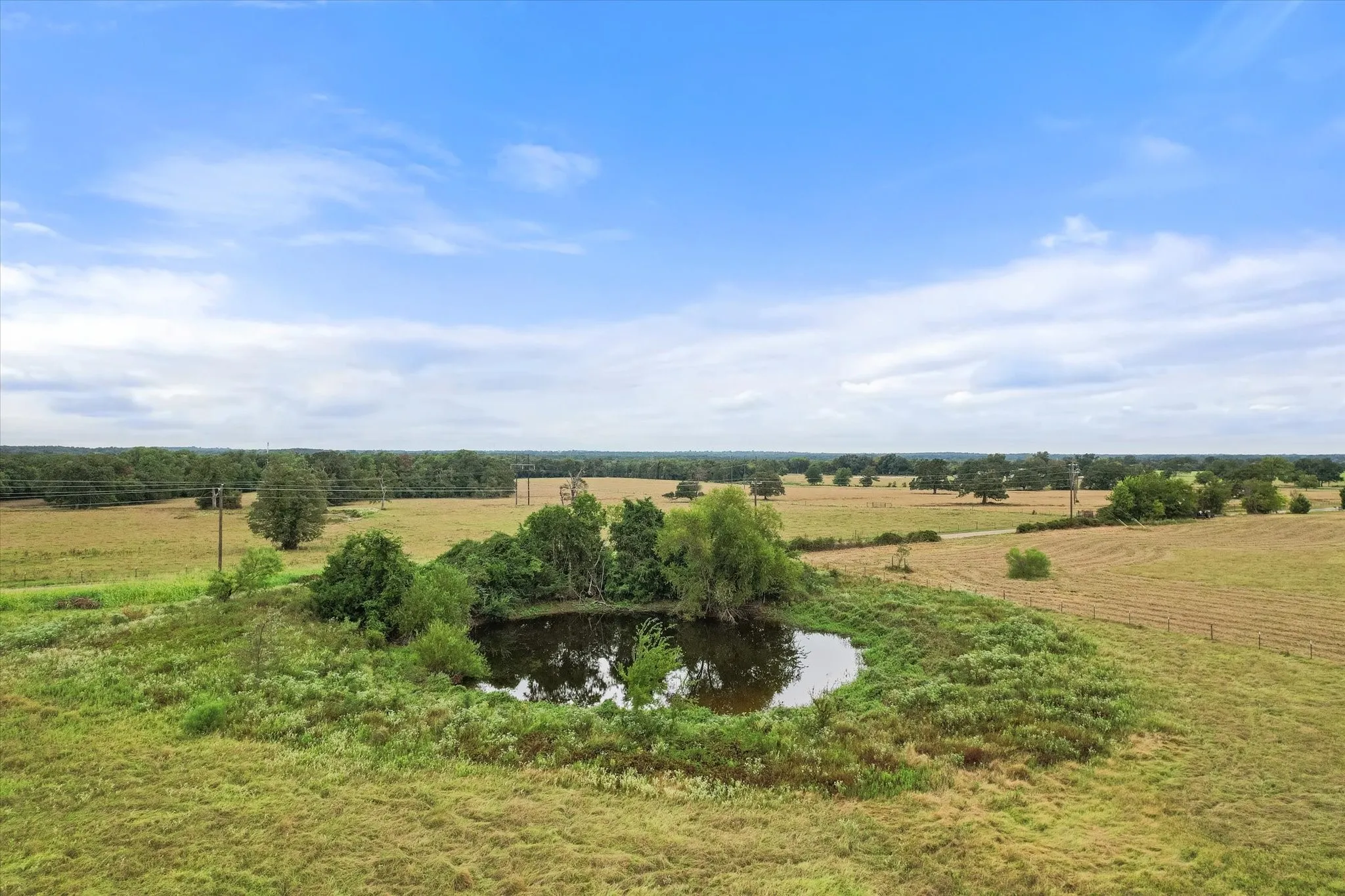 Bird's eye view with a rural view and a water view