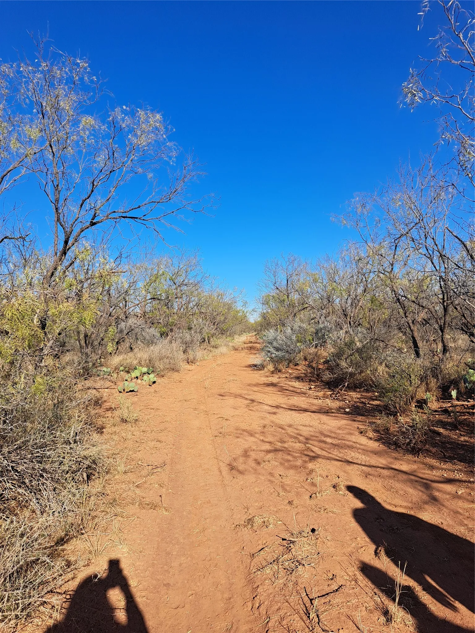 Improved Land For Sale in Fisher County , TBD 158.50 ACRES, Trent, Texas 79561, 0, 0, Garage spaces, 0 Sqft, built in 0, mls#21127441, Real Estate Agent in Trent, Homes For Sale in Fisher county, Homes For Sale in Trent, Realtor in Trent Texas, Real Estate Brokerage Independent Realty Texas, Luminita Cordes Realtor