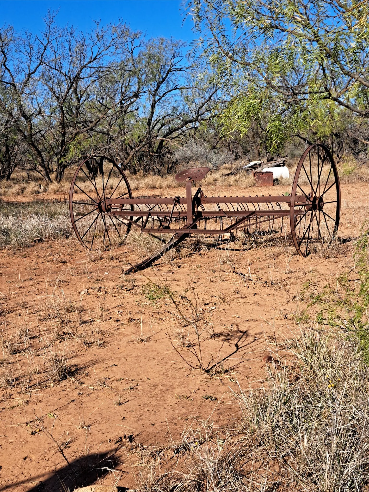 Improved Land For Sale in Fisher County , TBD 158.50 ACRES, Trent, Texas 79561, 0, 0, Garage spaces, 0 Sqft, built in 0, mls#21127441, Real Estate Agent in Trent, Homes For Sale in Fisher county, Homes For Sale in Trent, Realtor in Trent Texas, Real Estate Brokerage Independent Realty Texas, Luminita Cordes Realtor