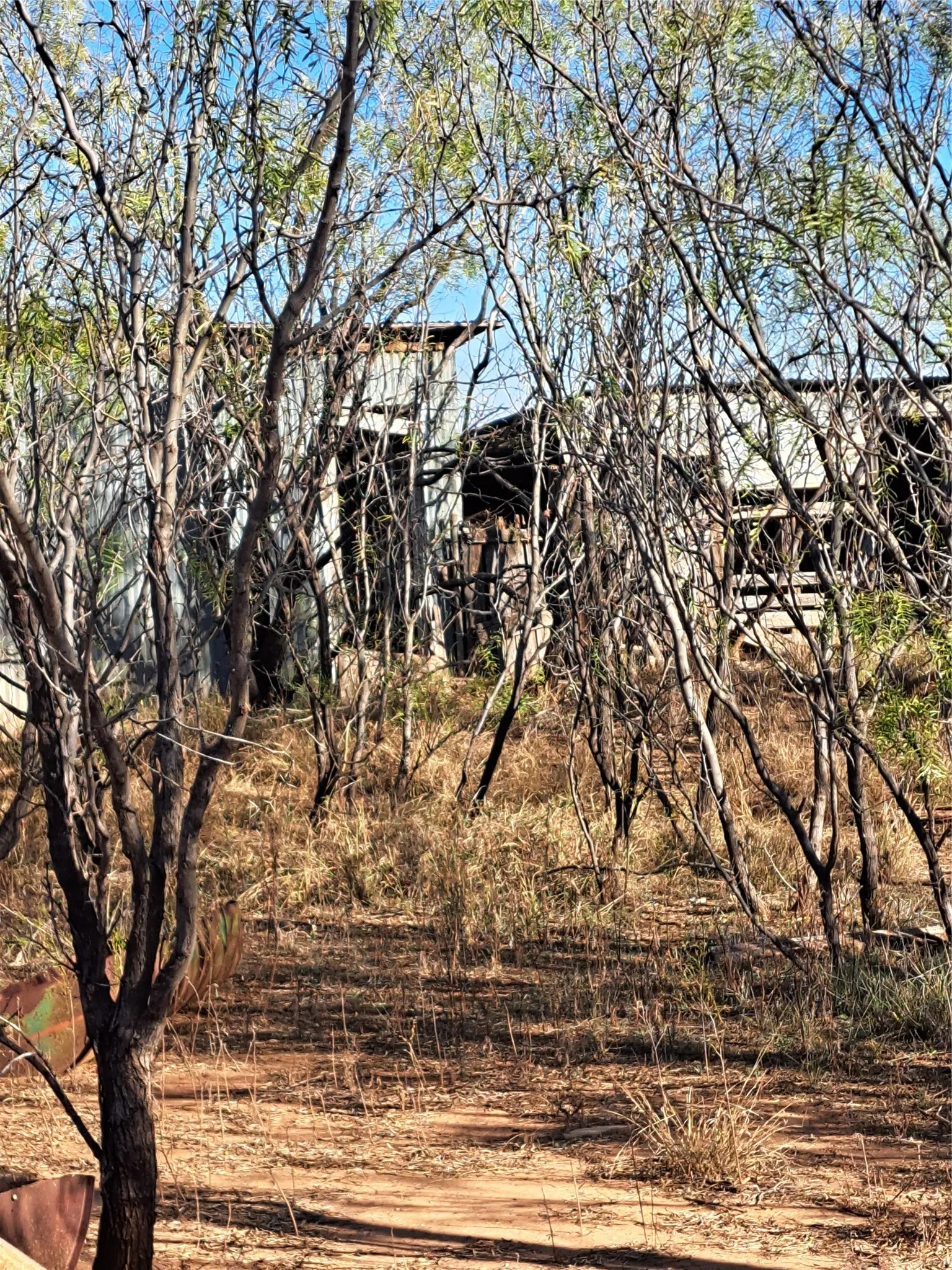 Improved Land For Sale in Fisher County , TBD 158.50 ACRES, Trent, Texas 79561, 0, 0, Garage spaces, 0 Sqft, built in 0, mls#21127441, Real Estate Agent in Trent, Homes For Sale in Fisher county, Homes For Sale in Trent, Realtor in Trent Texas, Real Estate Brokerage Independent Realty Texas, Luminita Cordes Realtor