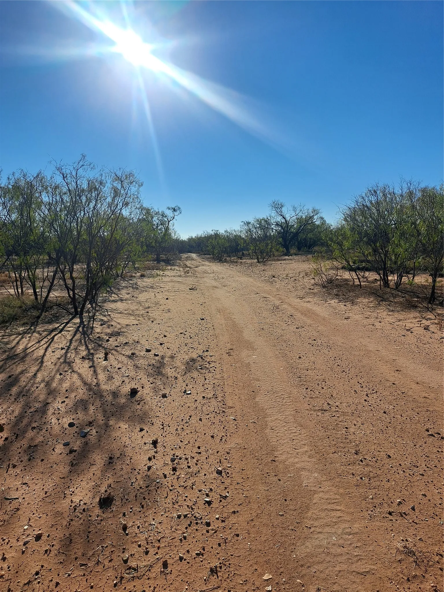Improved Land For Sale in Fisher County , TBD 158.50 ACRES, Trent, Texas 79561, 0, 0, Garage spaces, 0 Sqft, built in 0, mls#21127441, Real Estate Agent in Trent, Homes For Sale in Fisher county, Homes For Sale in Trent, Realtor in Trent Texas, Real Estate Brokerage Independent Realty Texas, Luminita Cordes Realtor