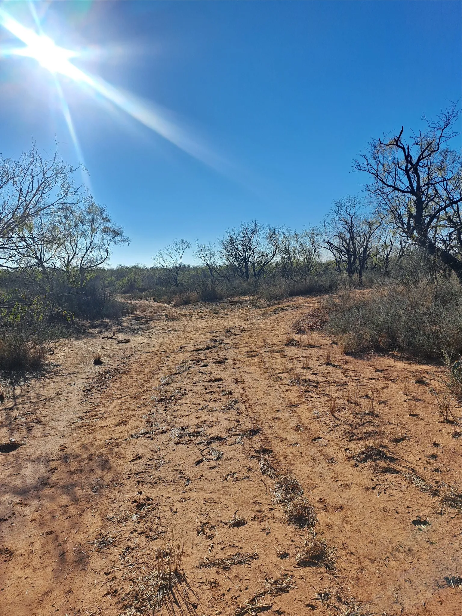 Improved Land For Sale in Fisher County , TBD 158.50 ACRES, Trent, Texas 79561, 0, 0, Garage spaces, 0 Sqft, built in 0, mls#21127441, Real Estate Agent in Trent, Homes For Sale in Fisher county, Homes For Sale in Trent, Realtor in Trent Texas, Real Estate Brokerage Independent Realty Texas, Luminita Cordes Realtor