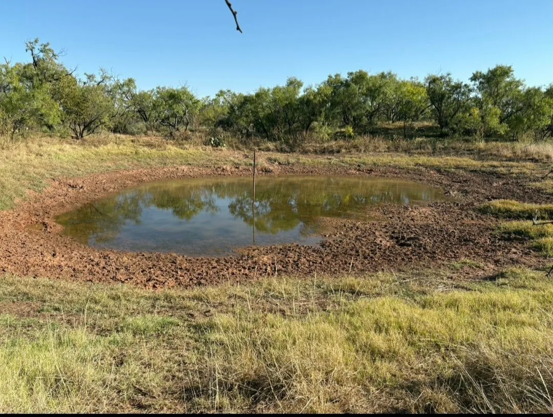 Improved Land For Sale in Fisher County , TBD 158.50 ACRES, Trent, Texas 79561, 0, 0, Garage spaces, 0 Sqft, built in 0, mls#21127441, Real Estate Agent in Trent, Homes For Sale in Fisher county, Homes For Sale in Trent, Realtor in Trent Texas, Real Estate Brokerage Independent Realty Texas, Luminita Cordes Realtor
