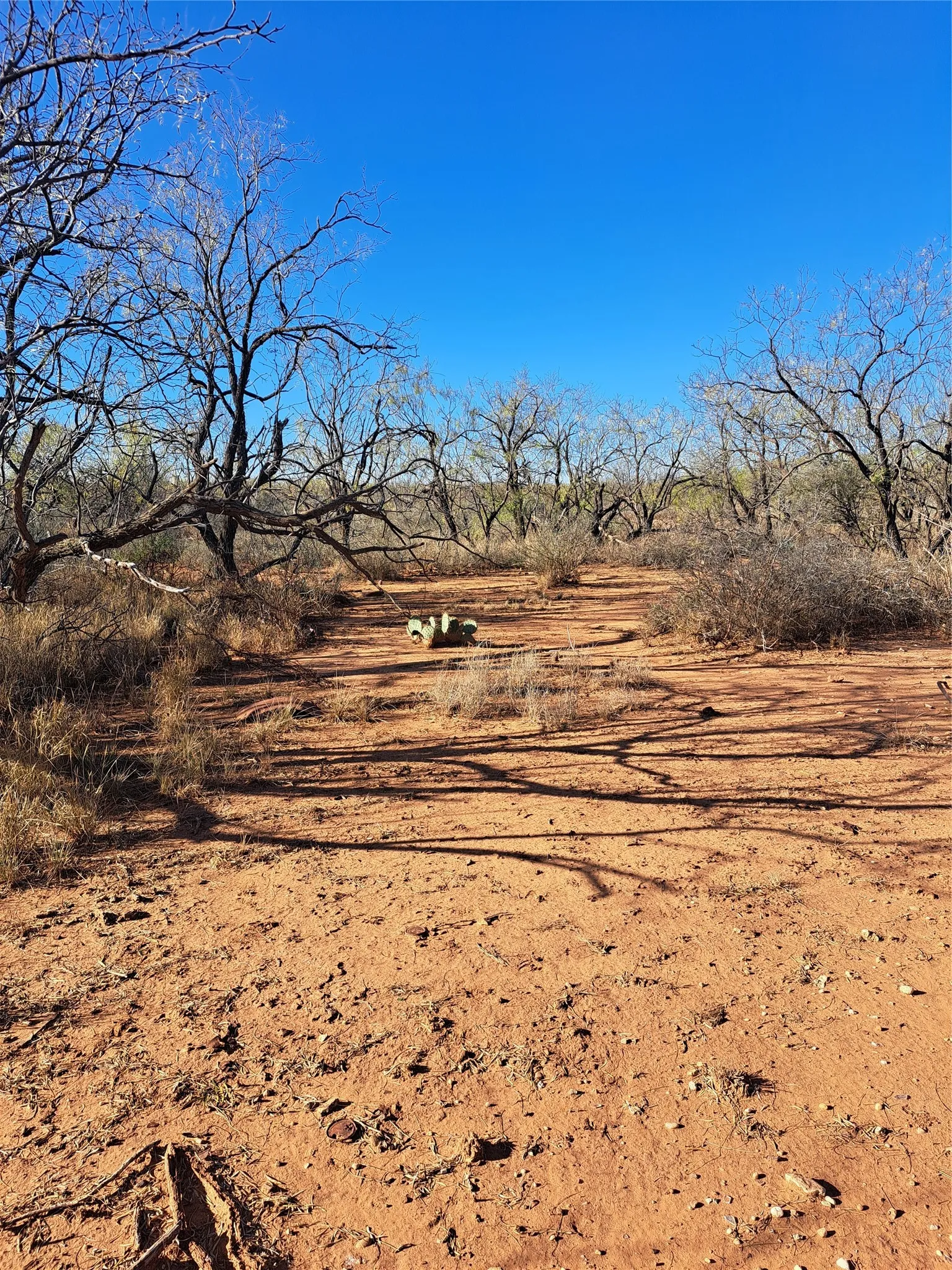 Improved Land For Sale in Fisher County , TBD 158.50 ACRES, Trent, Texas 79561, 0, 0, Garage spaces, 0 Sqft, built in 0, mls#21127441, Real Estate Agent in Trent, Homes For Sale in Fisher county, Homes For Sale in Trent, Realtor in Trent Texas, Real Estate Brokerage Independent Realty Texas, Luminita Cordes Realtor