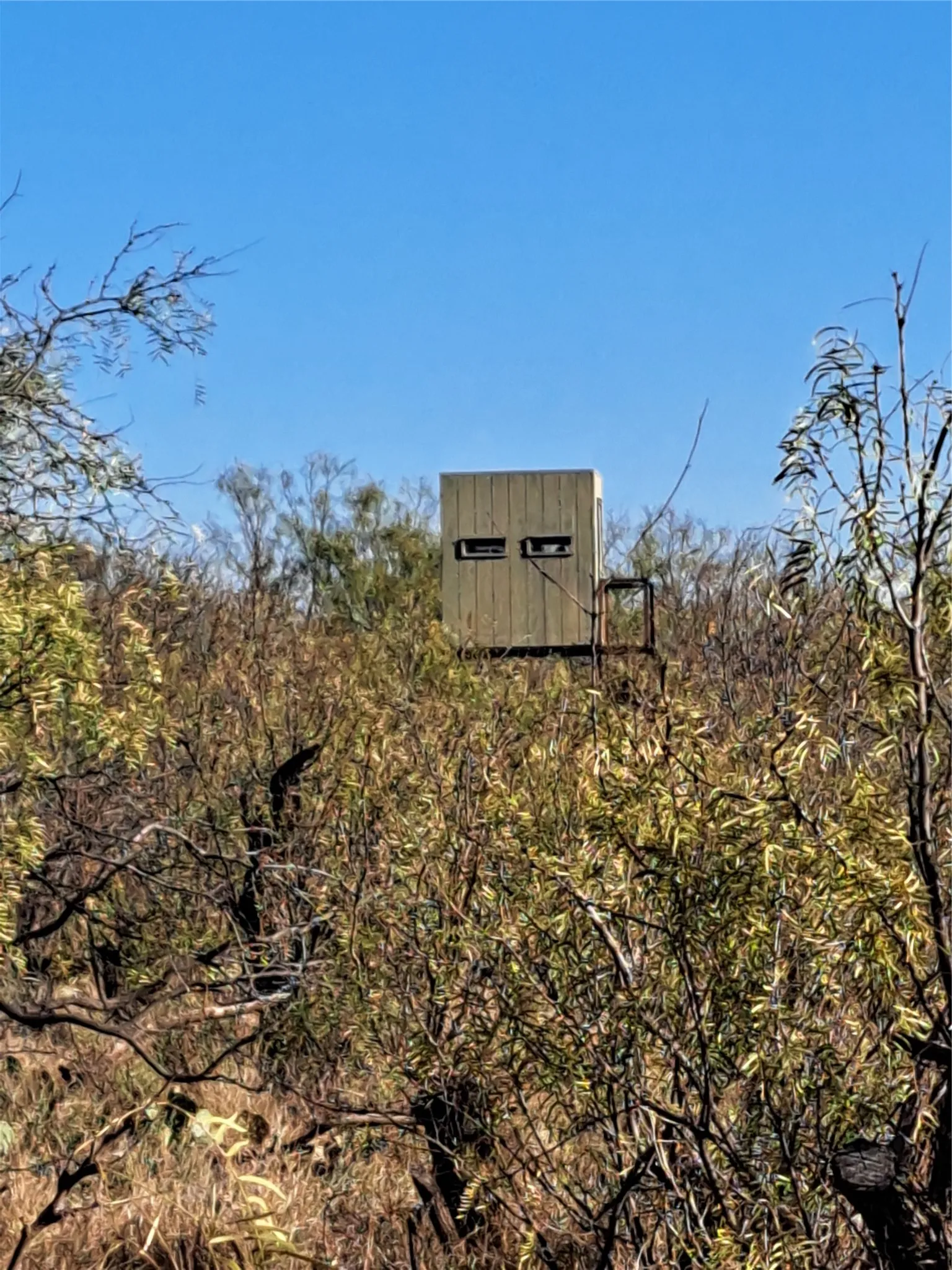 Improved Land For Sale in Fisher County , TBD 158.50 ACRES, Trent, Texas 79561, 0, 0, Garage spaces, 0 Sqft, built in 0, mls#21127441, Real Estate Agent in Trent, Homes For Sale in Fisher county, Homes For Sale in Trent, Realtor in Trent Texas, Real Estate Brokerage Independent Realty Texas, Luminita Cordes Realtor
