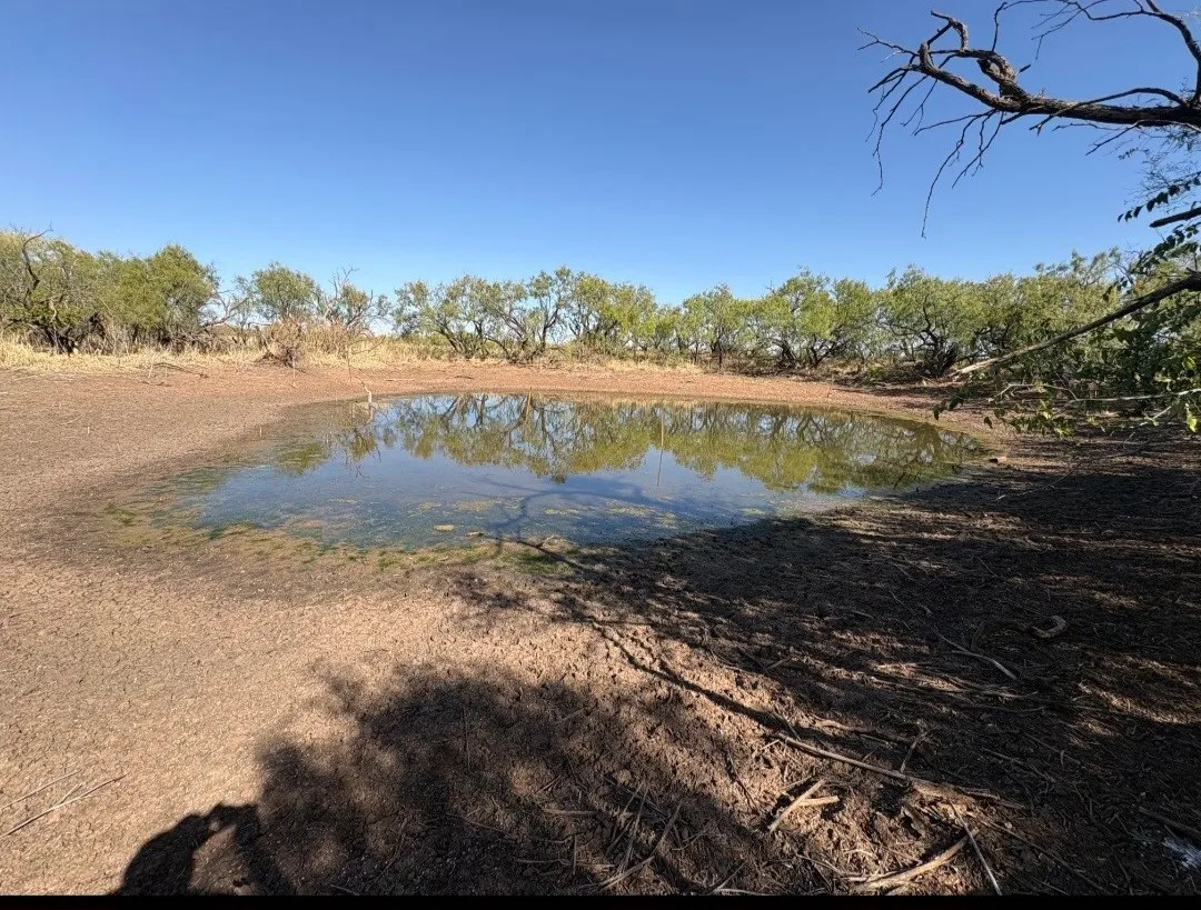 Improved Land For Sale in Fisher County , TBD 158.50 ACRES, Trent, Texas 79561, 0, 0, Garage spaces, 0 Sqft, built in 0, mls#21127441, Real Estate Agent in Trent, Homes For Sale in Fisher county, Homes For Sale in Trent, Realtor in Trent Texas, Real Estate Brokerage Independent Realty Texas, Luminita Cordes Realtor