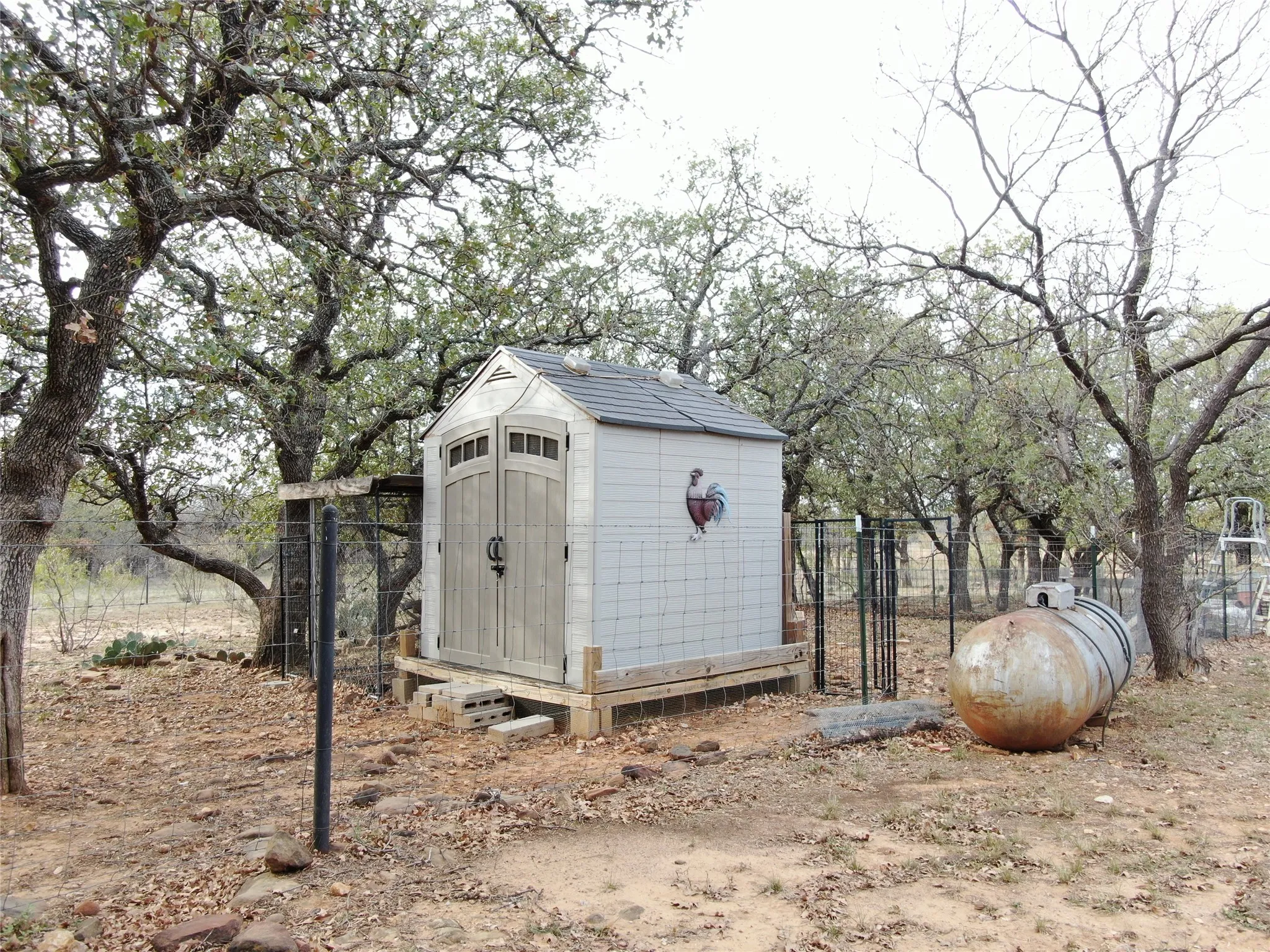 View of shed