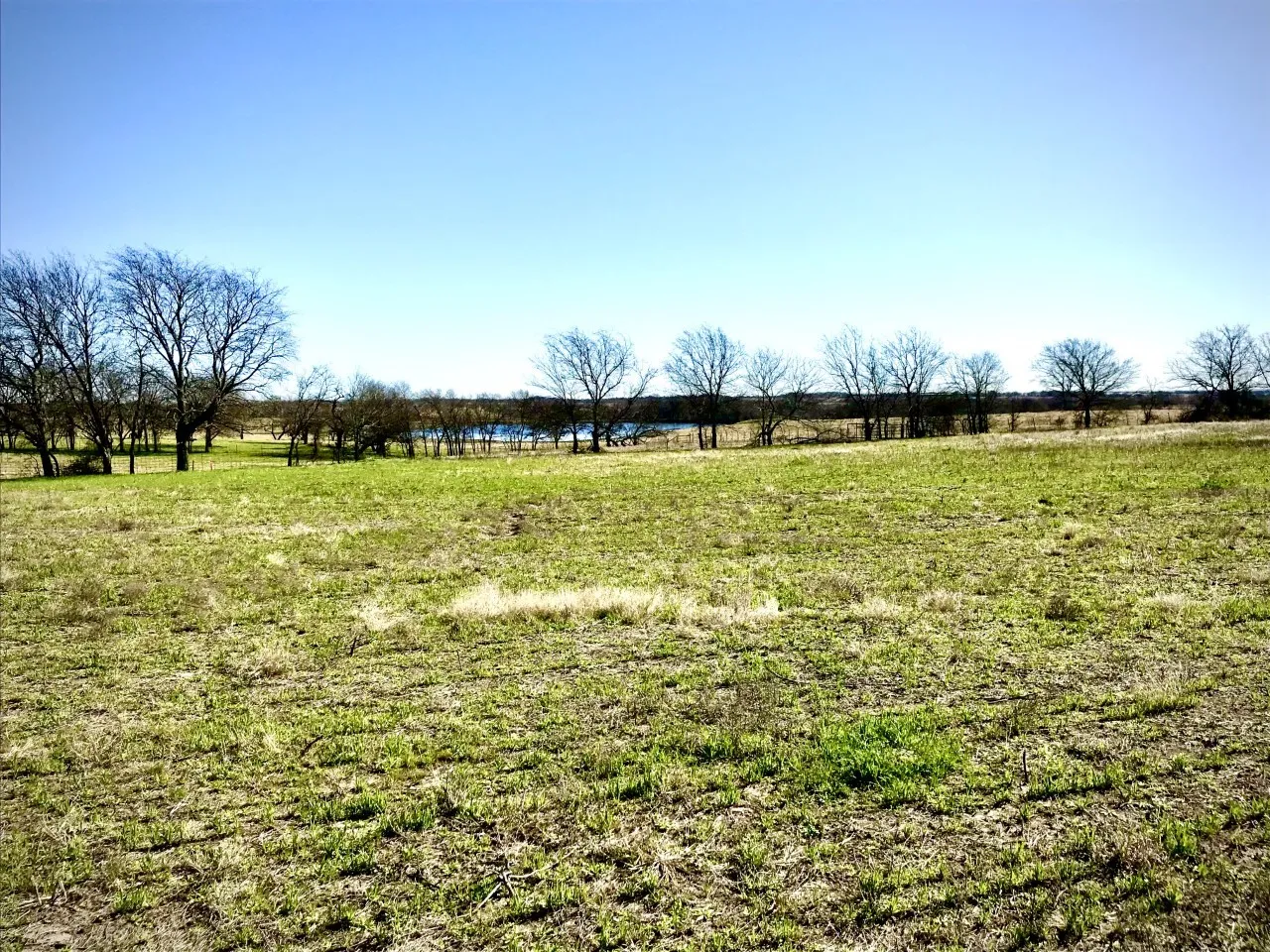 Lake view in the back of the property