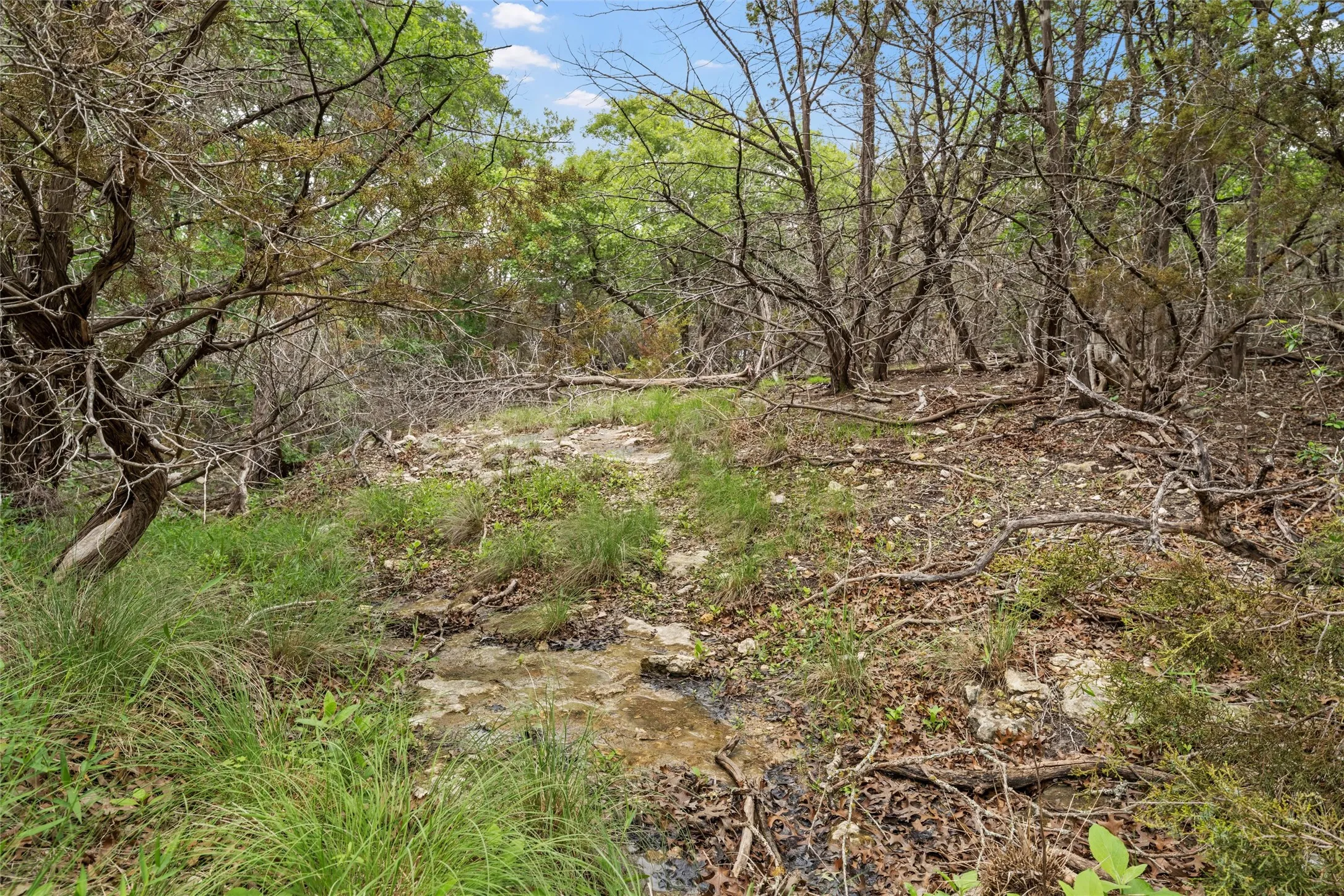Ranch For Sale in Bosque County , 614 County Road 4165, Cranfills Gap, Texas 76637, 0, 0, Garage spaces, 0 Sqft, built in 0, mls#21127646, Real Estate Agent in Cranfills Gap, Homes For Sale in Bosque county, Homes For Sale in Cranfills Gap, Realtor in Cranfills Gap Texas, Real Estate Brokerage Independent Realty Texas, Luminita Cordes Realtor