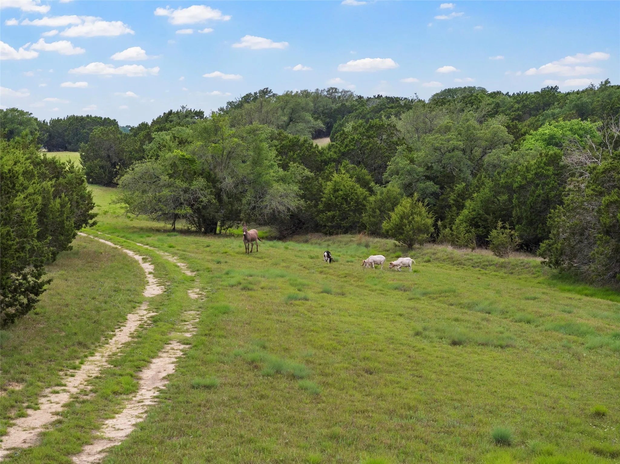 Ranch For Sale in Bosque County , 614 County Road 4165, Cranfills Gap, Texas 76637, 0, 0, Garage spaces, 0 Sqft, built in 0, mls#21127646, Real Estate Agent in Cranfills Gap, Homes For Sale in Bosque county, Homes For Sale in Cranfills Gap, Realtor in Cranfills Gap Texas, Real Estate Brokerage Independent Realty Texas, Luminita Cordes Realtor