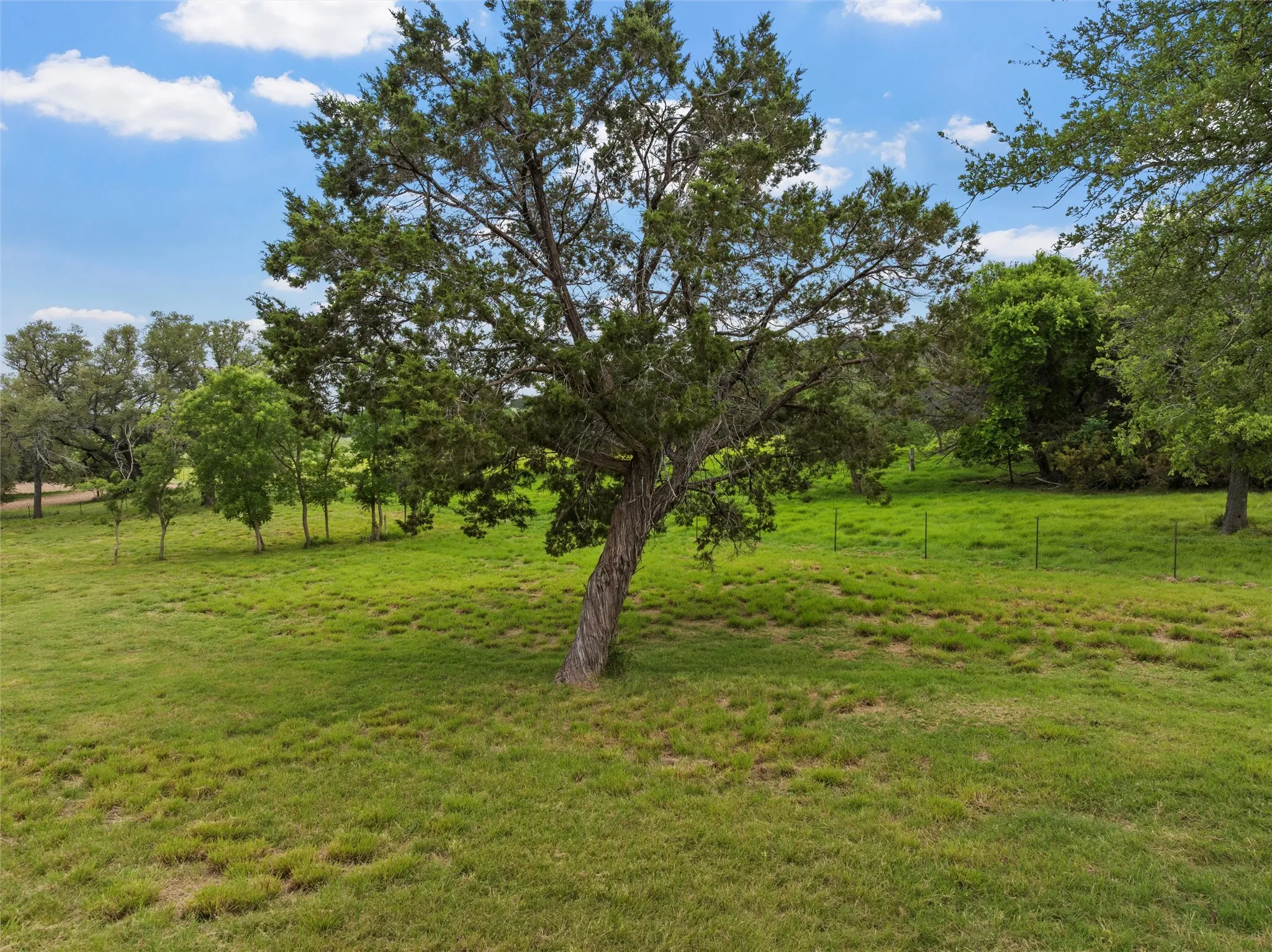 Ranch For Sale in Bosque County , 614 County Road 4165, Cranfills Gap, Texas 76637, 0, 0, Garage spaces, 0 Sqft, built in 0, mls#21127646, Real Estate Agent in Cranfills Gap, Homes For Sale in Bosque county, Homes For Sale in Cranfills Gap, Realtor in Cranfills Gap Texas, Real Estate Brokerage Independent Realty Texas, Luminita Cordes Realtor