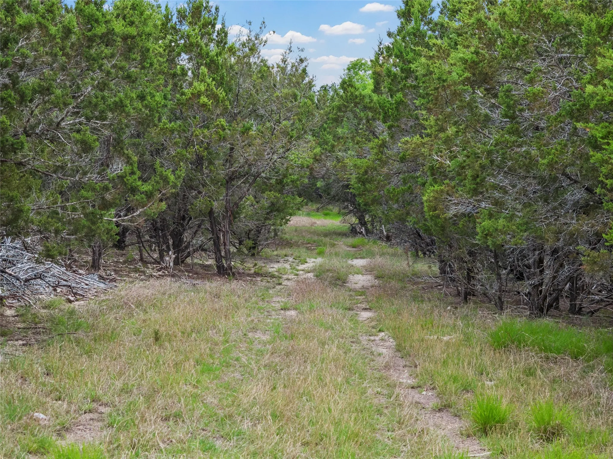Ranch For Sale in Bosque County , 614 County Road 4165, Cranfills Gap, Texas 76637, 0, 0, Garage spaces, 0 Sqft, built in 0, mls#21127646, Real Estate Agent in Cranfills Gap, Homes For Sale in Bosque county, Homes For Sale in Cranfills Gap, Realtor in Cranfills Gap Texas, Real Estate Brokerage Independent Realty Texas, Luminita Cordes Realtor