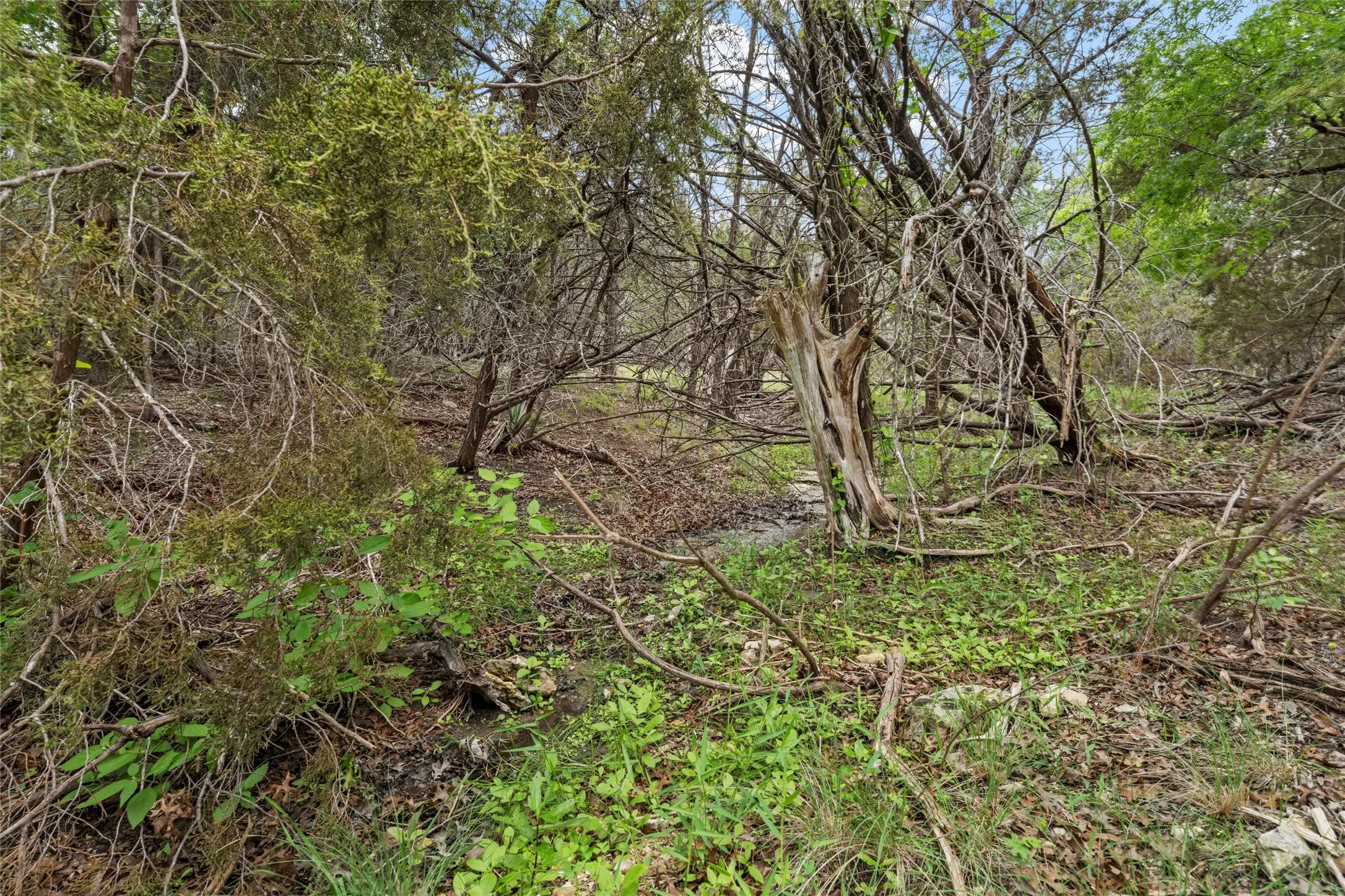 Ranch For Sale in Bosque County , 614 County Road 4165, Cranfills Gap, Texas 76637, 0, 0, Garage spaces, 0 Sqft, built in 0, mls#21127646, Real Estate Agent in Cranfills Gap, Homes For Sale in Bosque county, Homes For Sale in Cranfills Gap, Realtor in Cranfills Gap Texas, Real Estate Brokerage Independent Realty Texas, Luminita Cordes Realtor