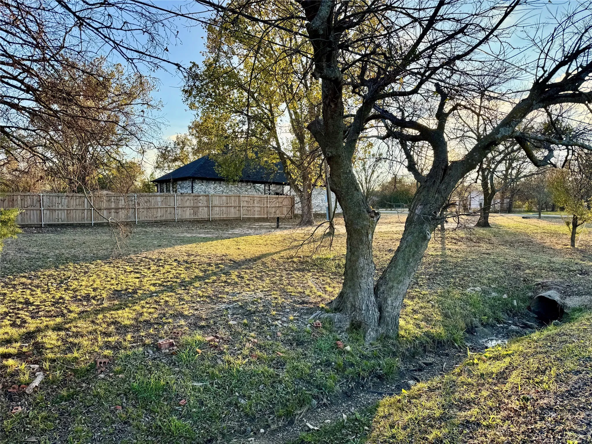 Side view.