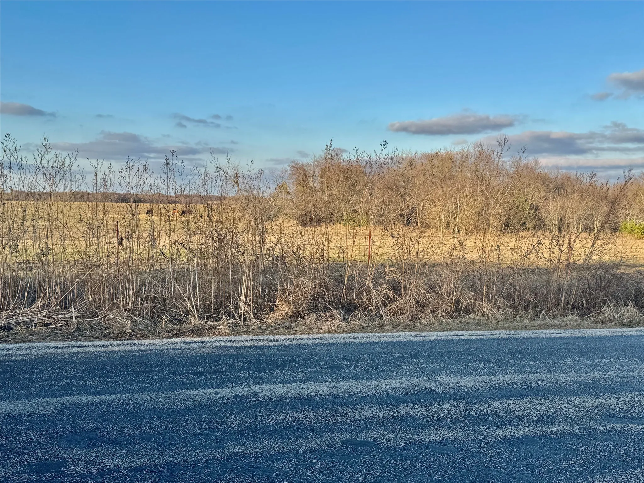 View across Elliot Rd.