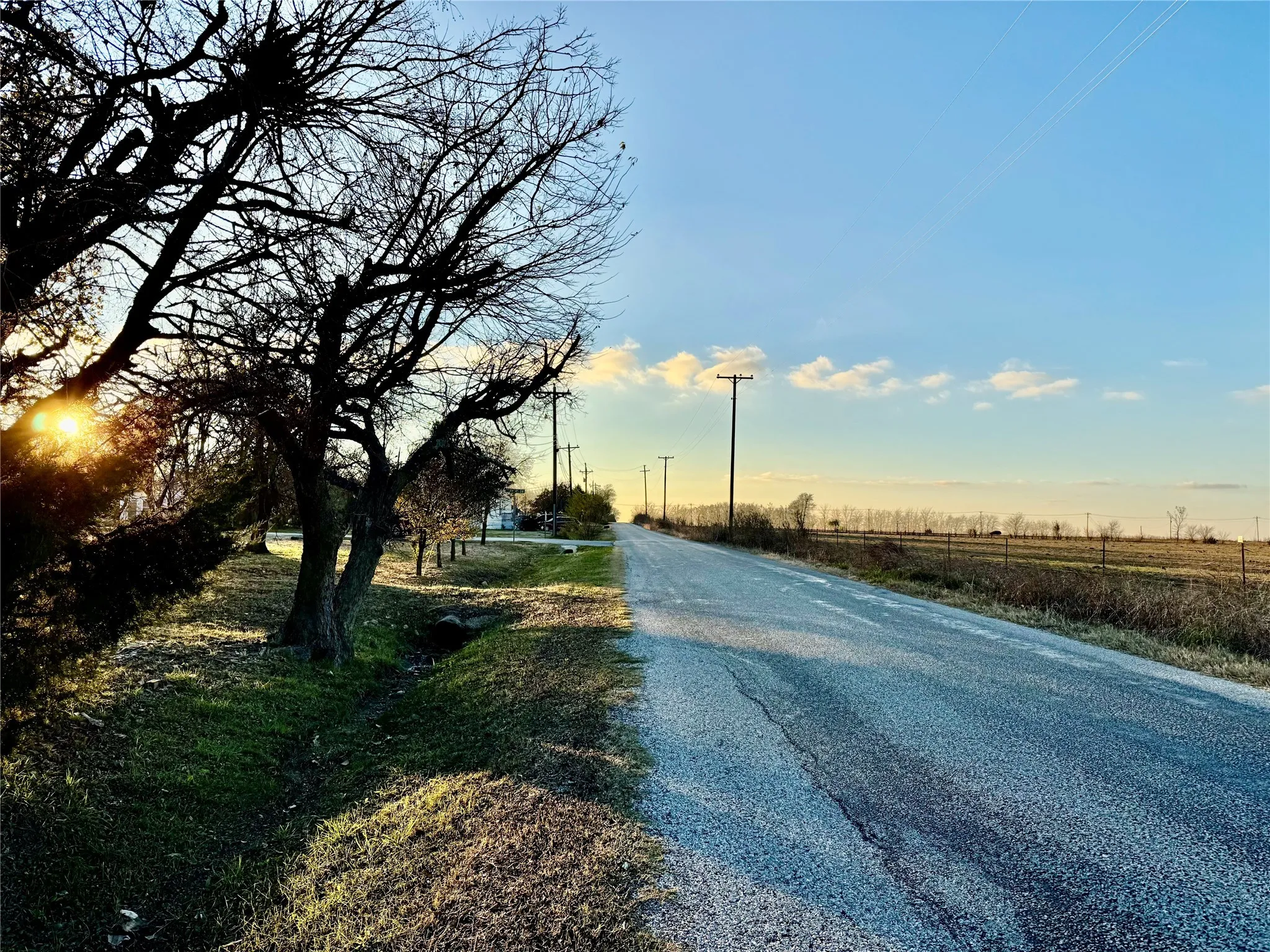 Treeline facing Elliot Rd.