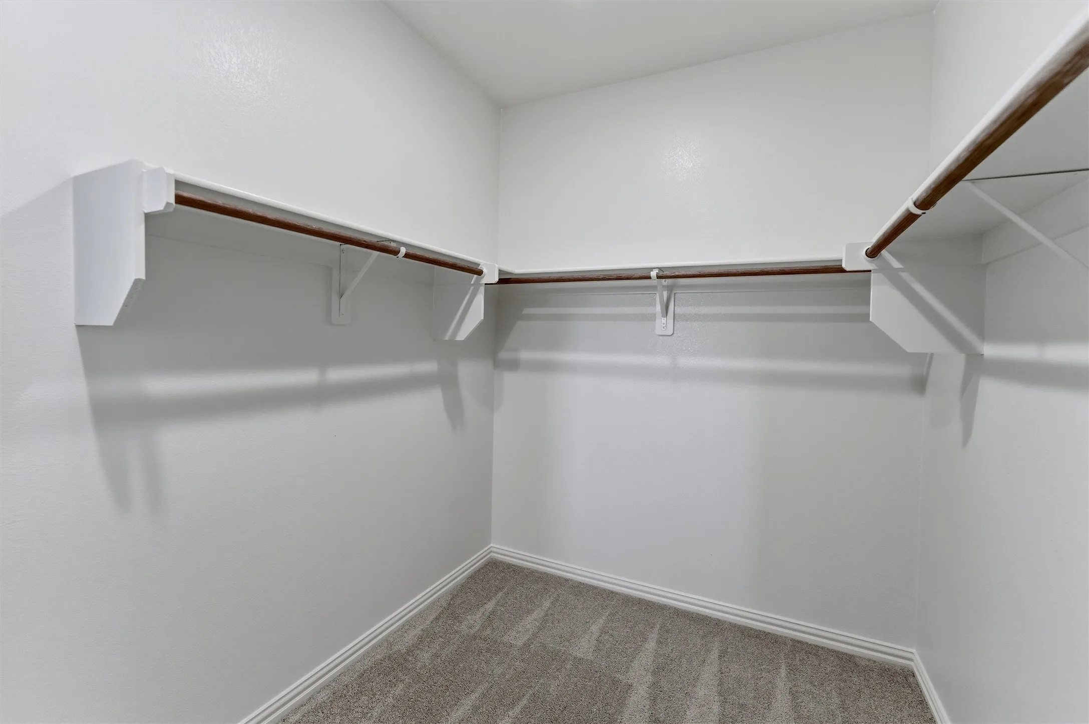 Spacious walk-in closet featuring white walls, baseboards, and neutral-toned carpet