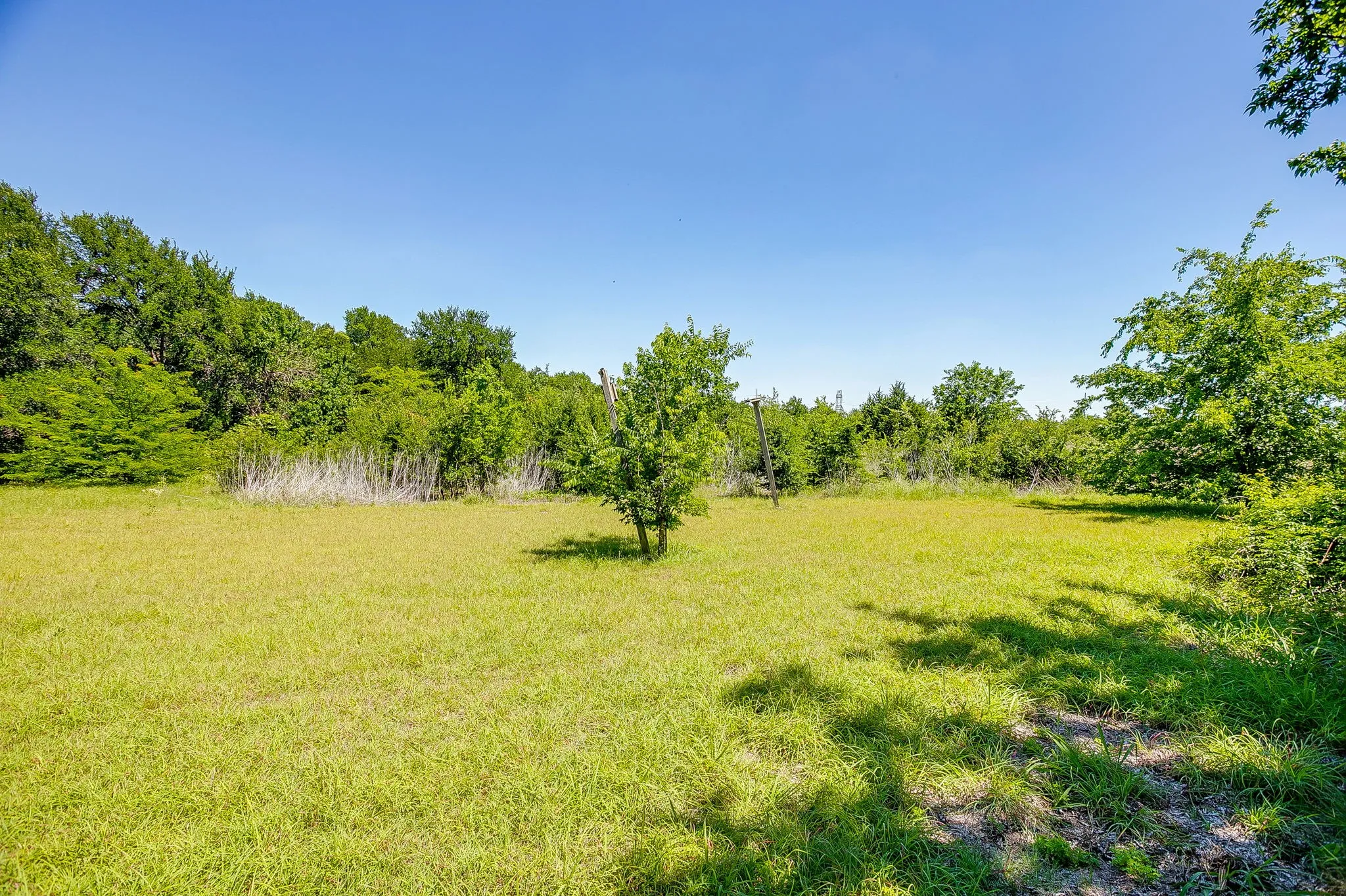 Open space behind backyard fence
