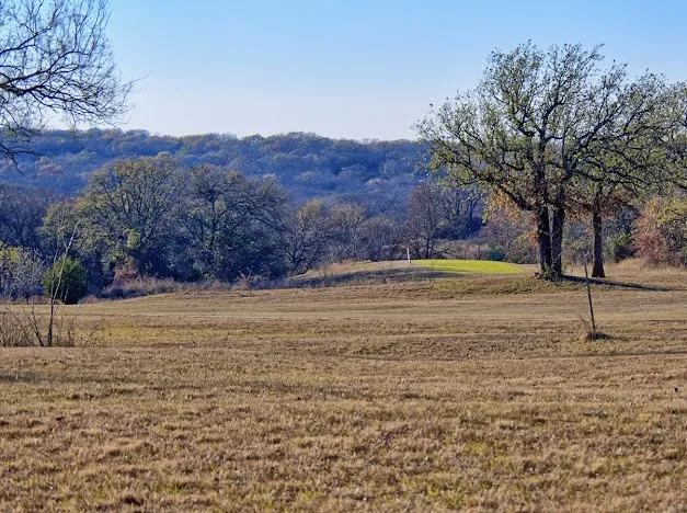Unimproved Land For Sale in Montague County , 141 Diamond Oaks Drive, Nocona, Texas 76255, 0, 0, Garage spaces, 0 Sqft, built in 0, Price $39,500, mls#21128057, Real Estate Agent in Nocona, Homes For Sale in Montague county, Homes For Sale in Nocona, Realtor in Nocona Texas, Real Estate Brokerage Independent Realty Texas, Luminita Cordes Realtor