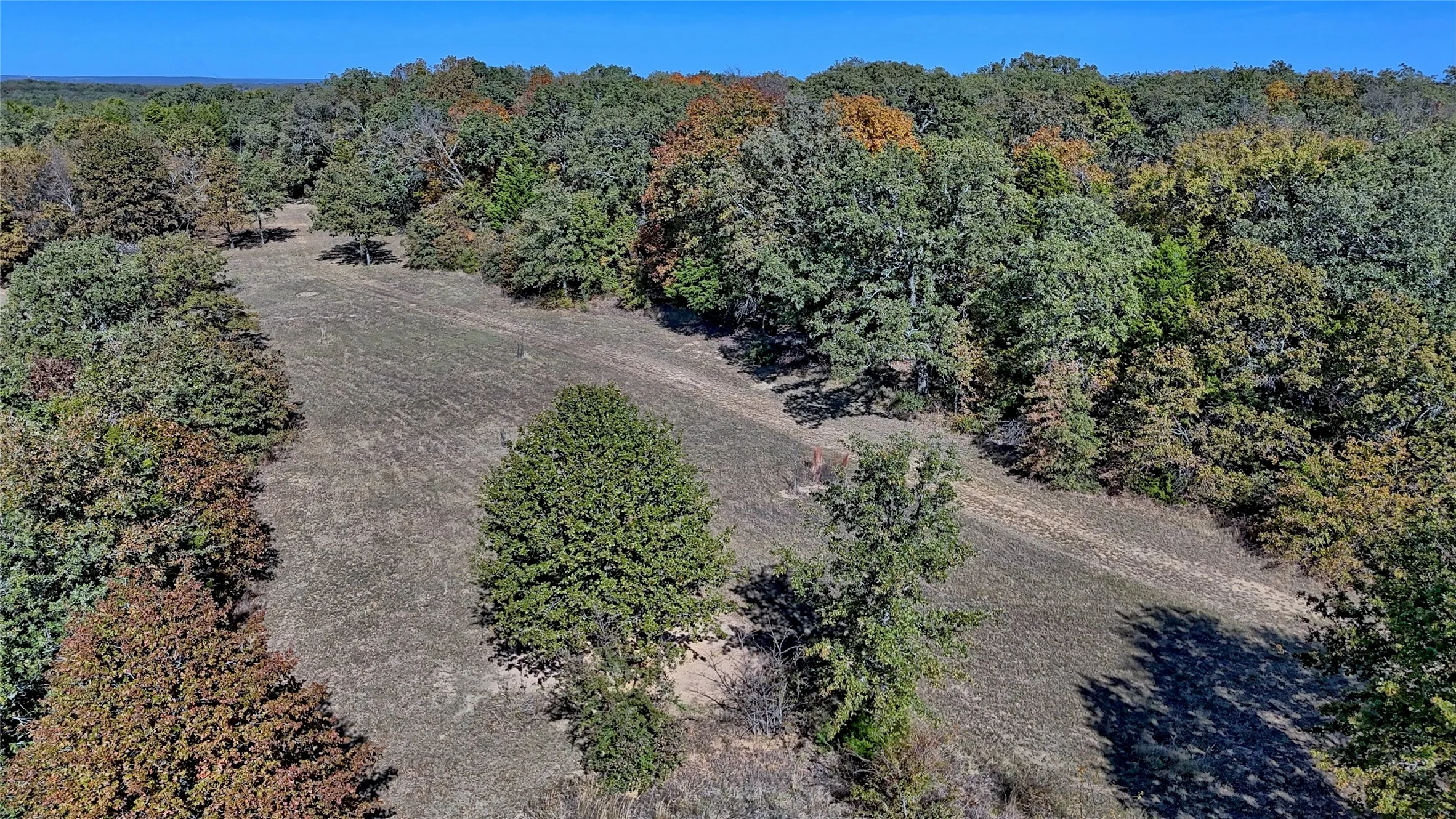 Improved Land For Sale in Cooke County , 4787 CR 106, Whitesboro, Texas 76273, 0, 0, Garage spaces, 0 Sqft, built in 0, Price $790,000, mls#21127335, Real Estate Agent in Whitesboro, Homes For Sale in Cooke county, Homes For Sale in Whitesboro, Realtor in Whitesboro Texas, Real Estate Brokerage Independent Realty Texas, Luminita Cordes Realtor