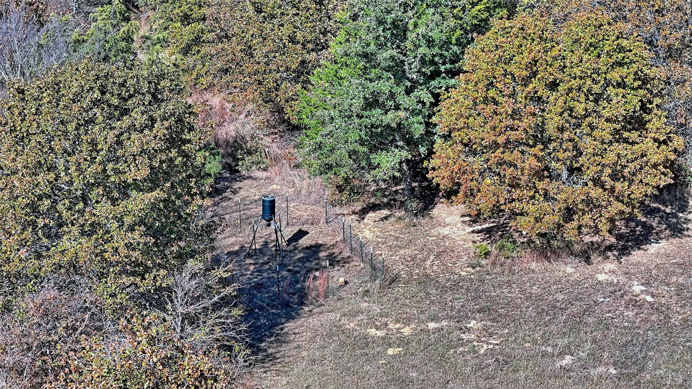 Improved Land For Sale in Cooke County , 4787 CR 106, Whitesboro, Texas 76273, 0, 0, Garage spaces, 0 Sqft, built in 0, Price $790,000, mls#21127335, Real Estate Agent in Whitesboro, Homes For Sale in Cooke county, Homes For Sale in Whitesboro, Realtor in Whitesboro Texas, Real Estate Brokerage Independent Realty Texas, Luminita Cordes Realtor