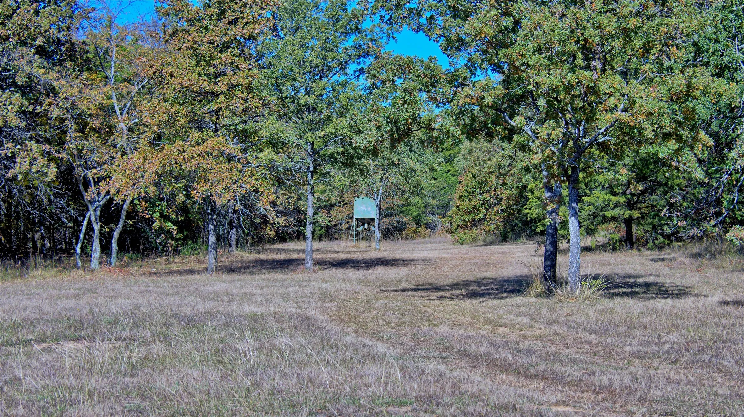 Deer blind to convey