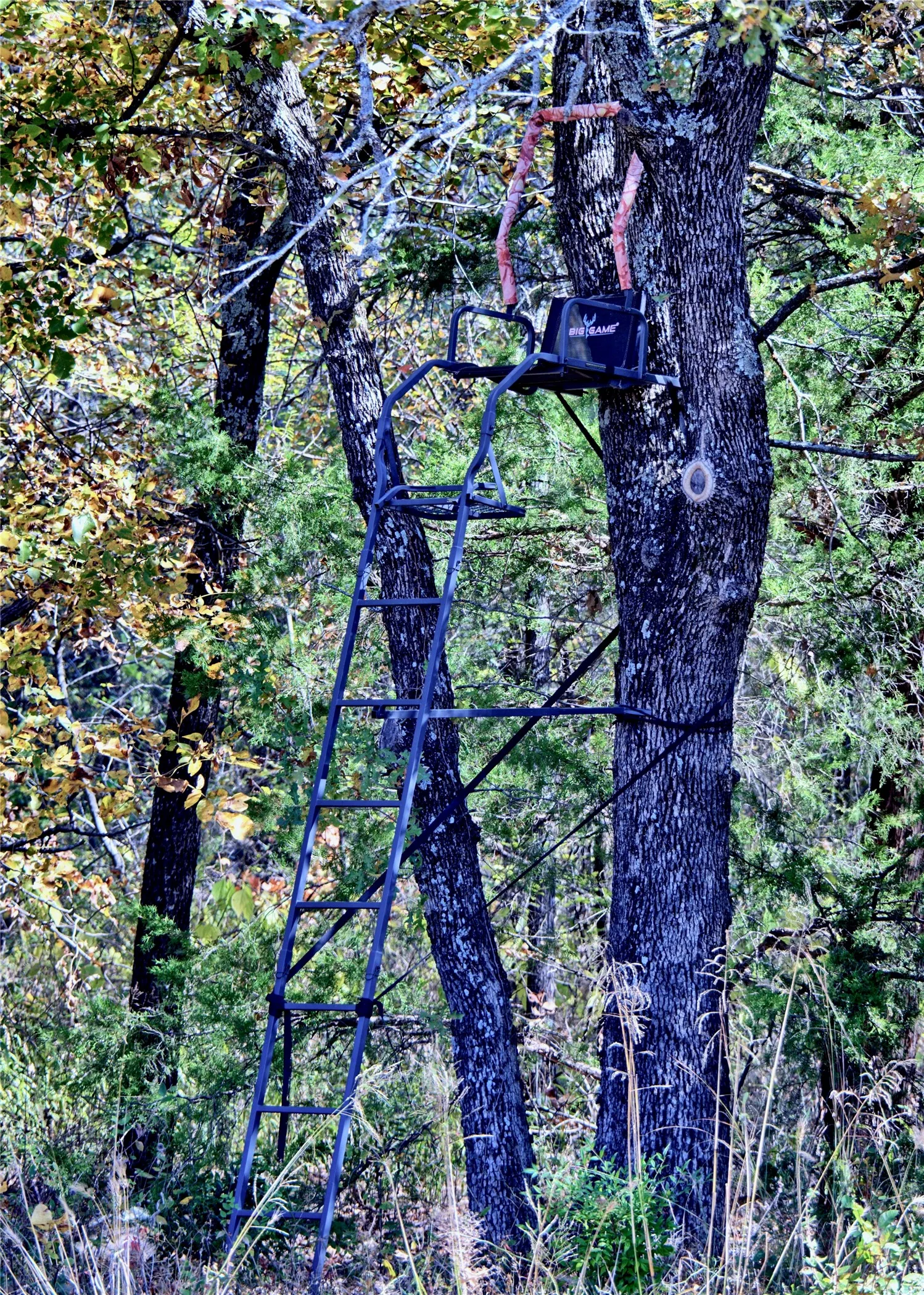 deer stand to convey