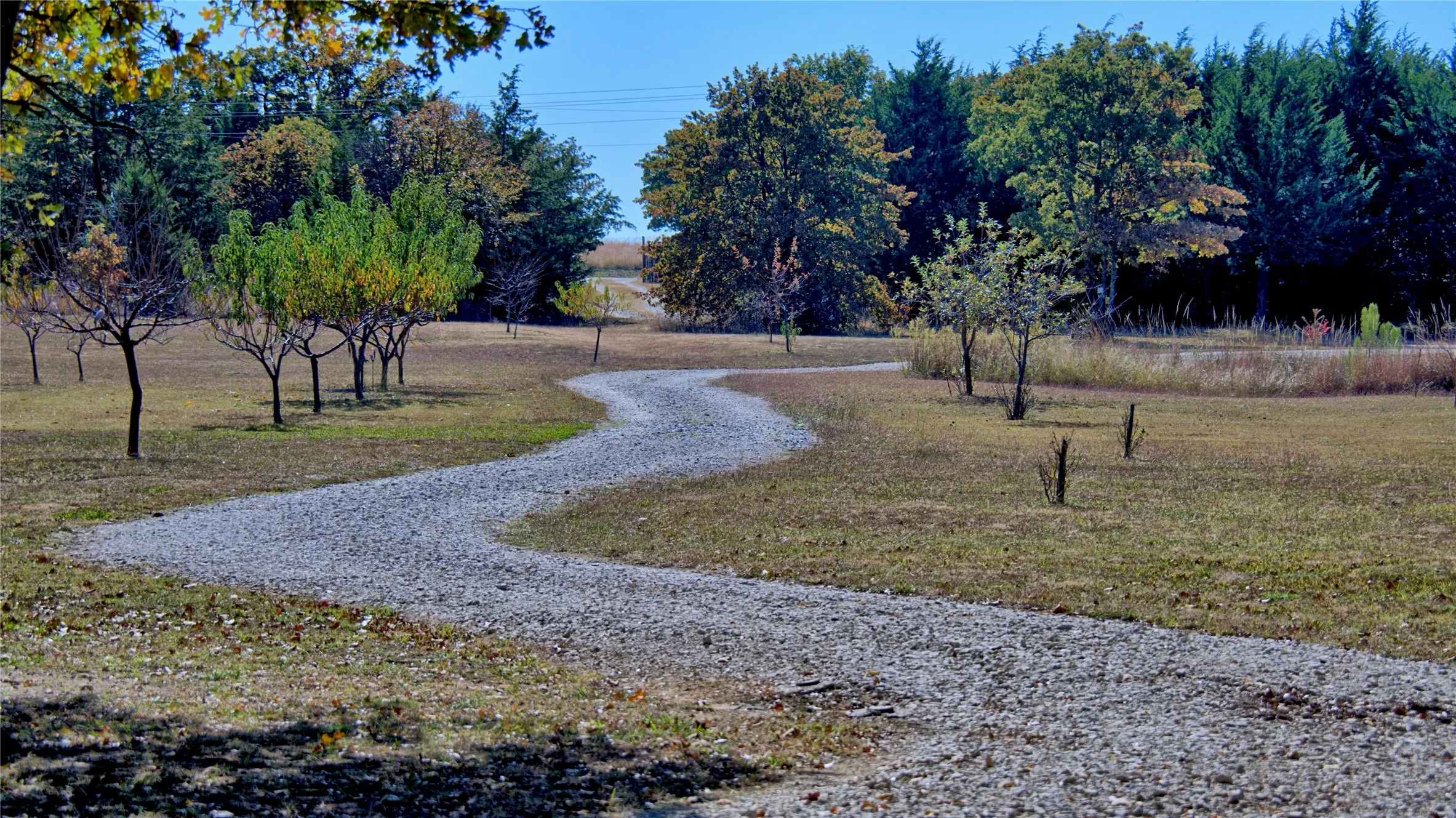Improved Land For Sale in Cooke County , 4787 CR 106, Whitesboro, Texas 76273, 0, 0, Garage spaces, 0 Sqft, built in 0, Price $790,000, mls#21127335, Real Estate Agent in Whitesboro, Homes For Sale in Cooke county, Homes For Sale in Whitesboro, Realtor in Whitesboro Texas, Real Estate Brokerage Independent Realty Texas, Luminita Cordes Realtor