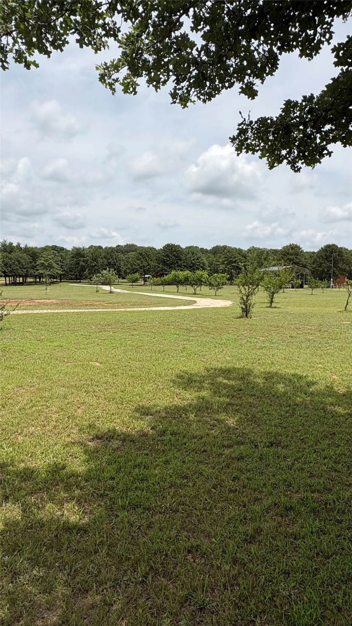 fruit orchard on location