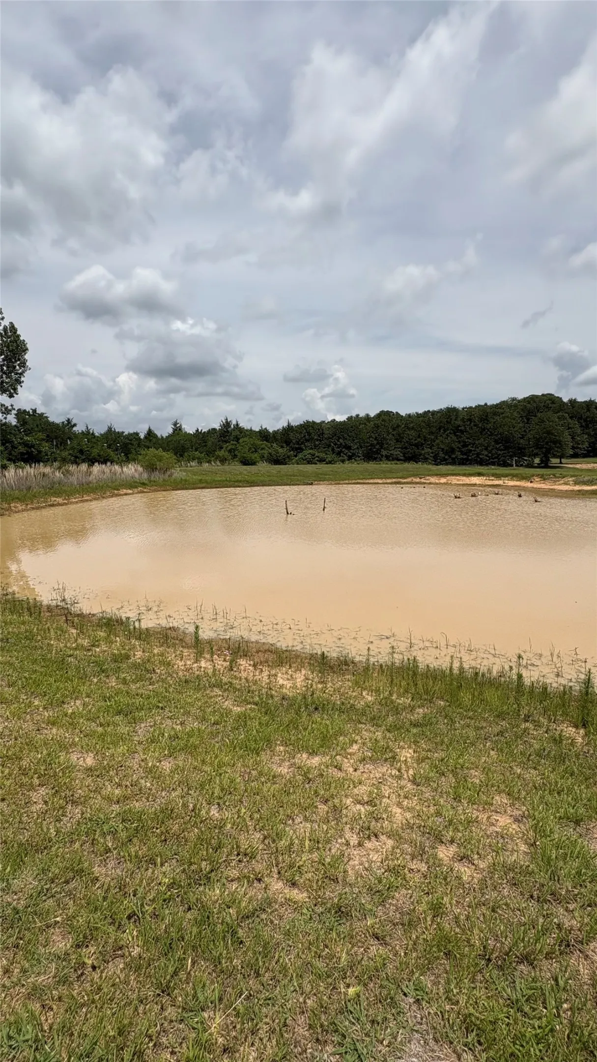 Improved Land For Sale in Cooke County , 4787 CR 106, Whitesboro, Texas 76273, 0, 0, Garage spaces, 0 Sqft, built in 0, Price $790,000, mls#21127335, Real Estate Agent in Whitesboro, Homes For Sale in Cooke county, Homes For Sale in Whitesboro, Realtor in Whitesboro Texas, Real Estate Brokerage Independent Realty Texas, Luminita Cordes Realtor
