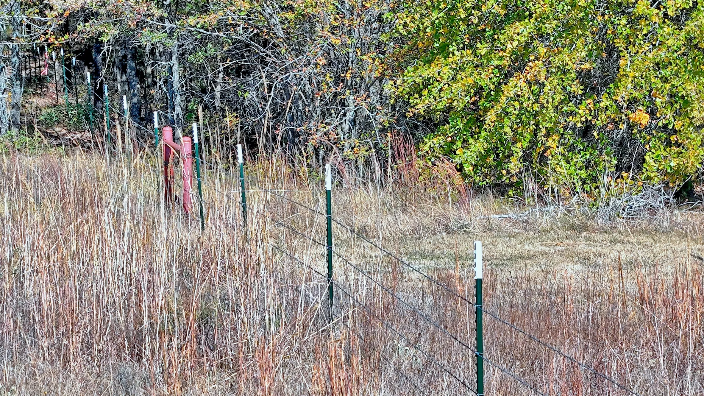 good fences throughout