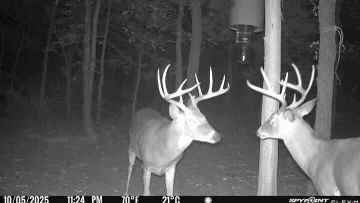 Game Cam finds