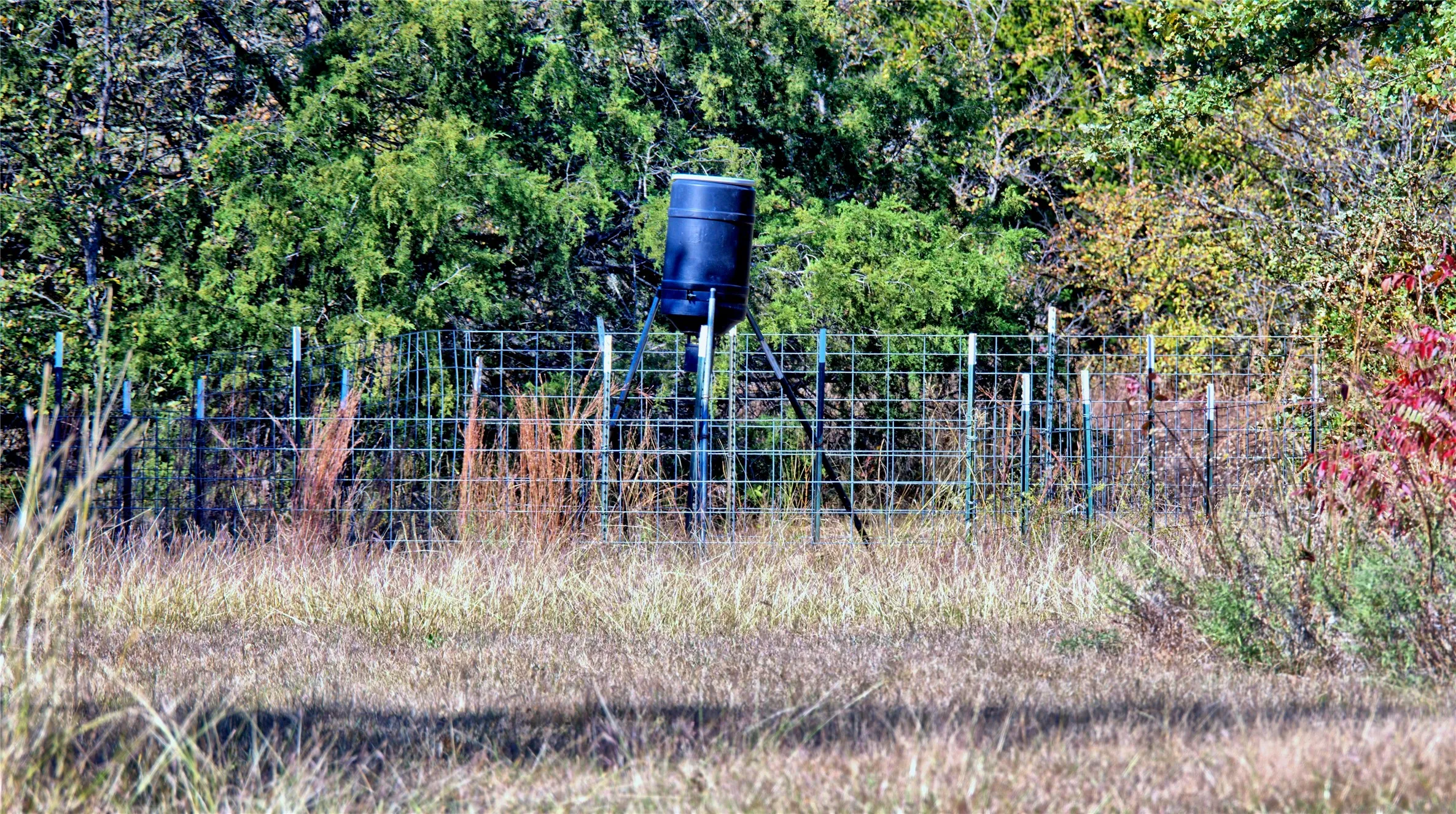 deer feeder to convey
