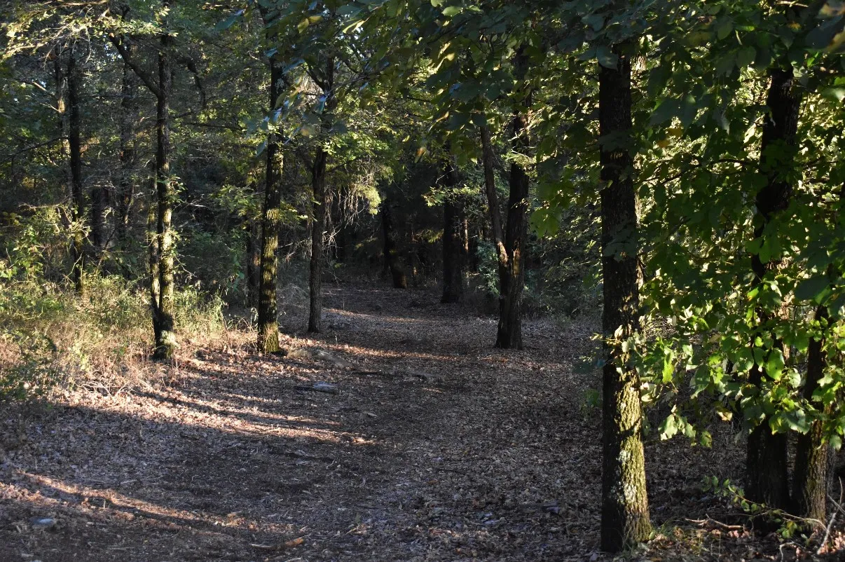 existing trails throughout