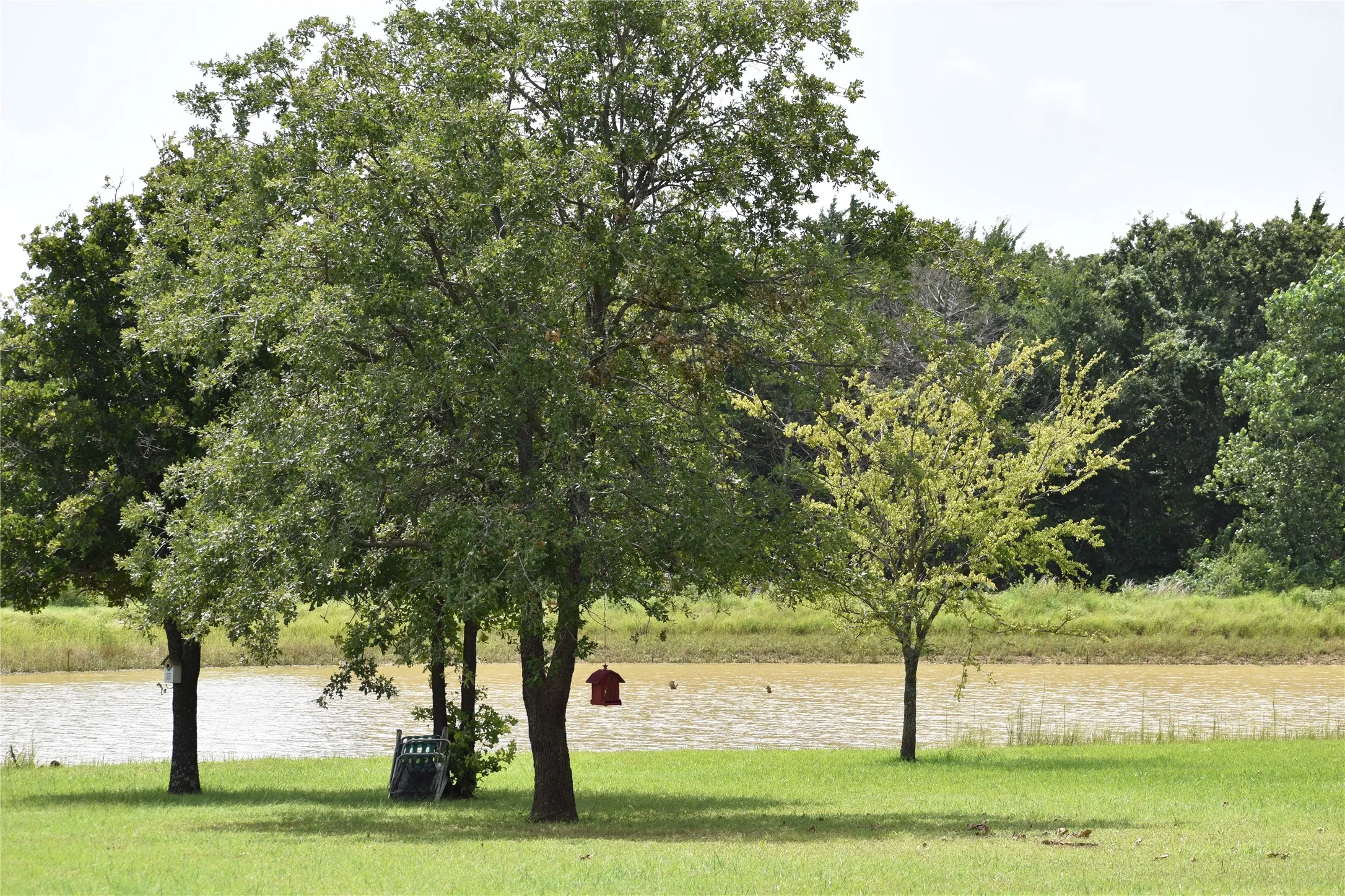 Pond at fuller capacity
