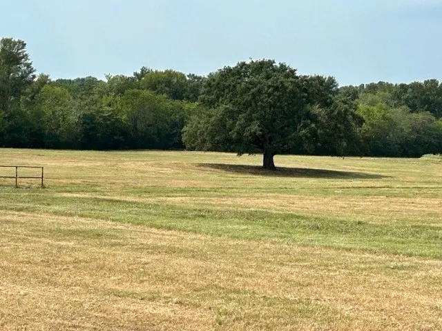 Improved Land For Sale in Hopkins County , TBD CR 1148 1, Cumby, Texas 75433, 0, 0, Garage spaces, 0 Sqft, built in 0, mls#21124588, Real Estate Agent in Cumby, Homes For Sale in Hopkins county, Homes For Sale in Cumby, Realtor in Cumby Texas, Real Estate Brokerage Independent Realty Texas, Luminita Cordes Realtor